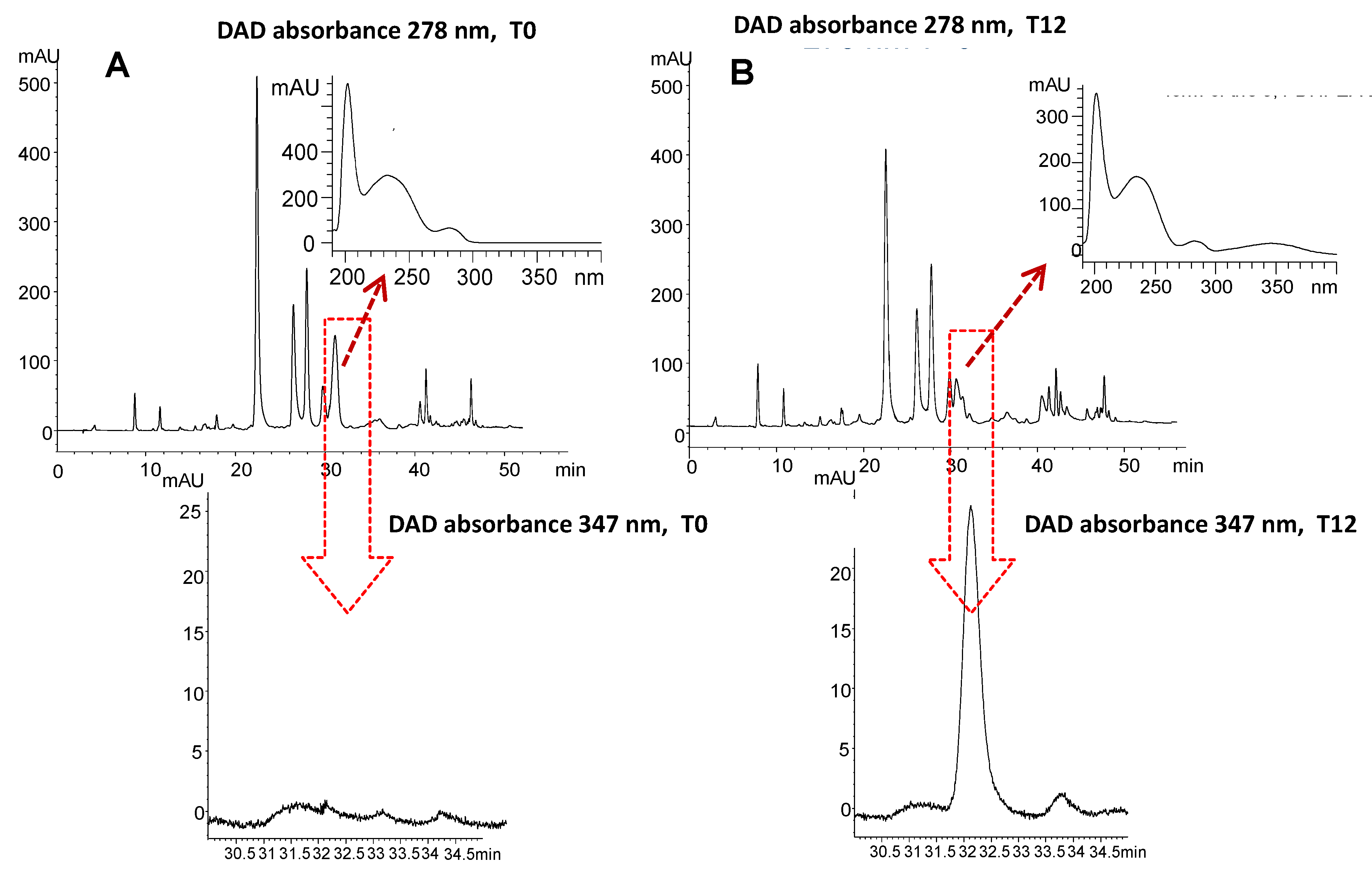 Foods 12 02959 g007 Foods 12 02959 g007