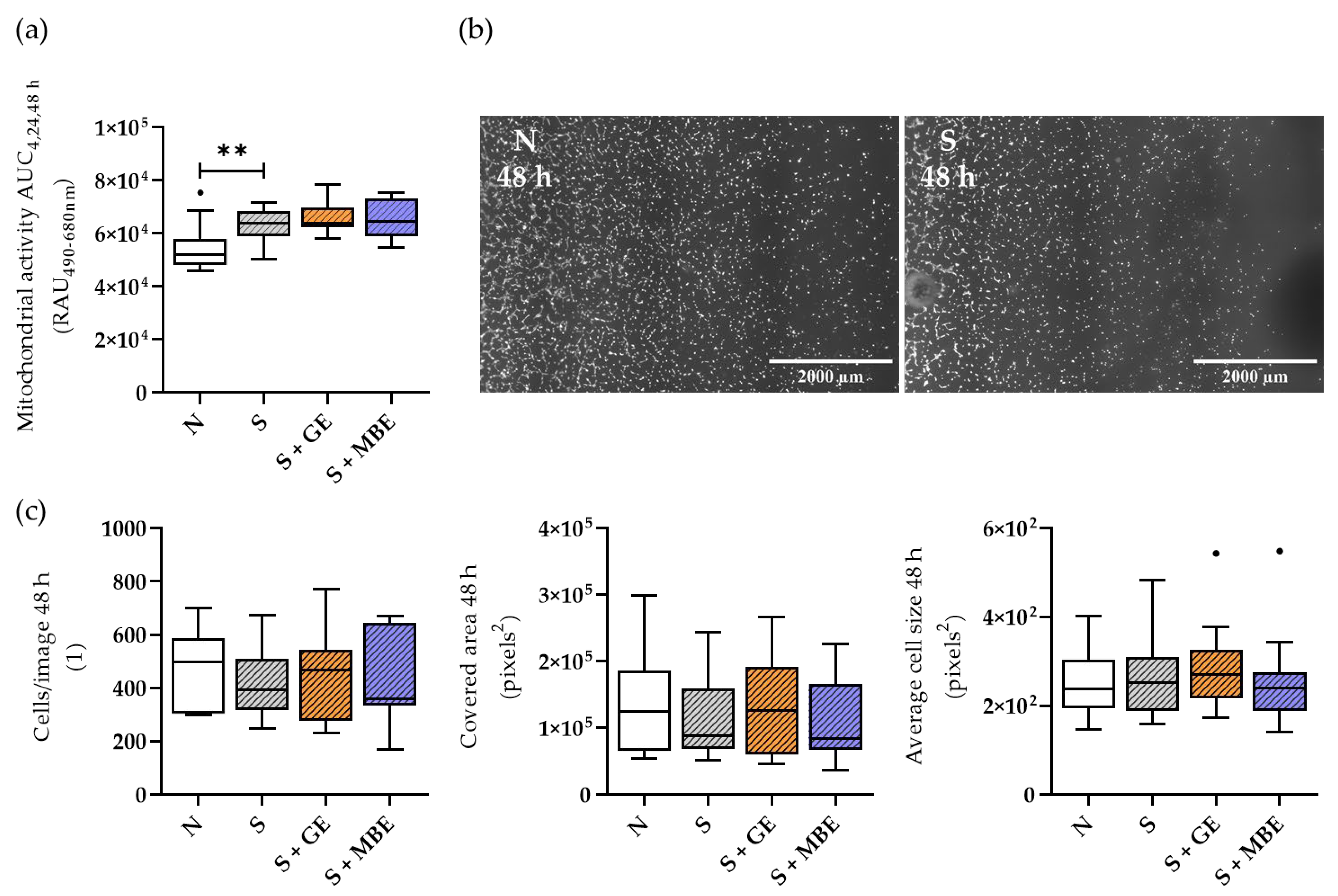 Foods 12 02960 g005 Foods 12 02960 g005