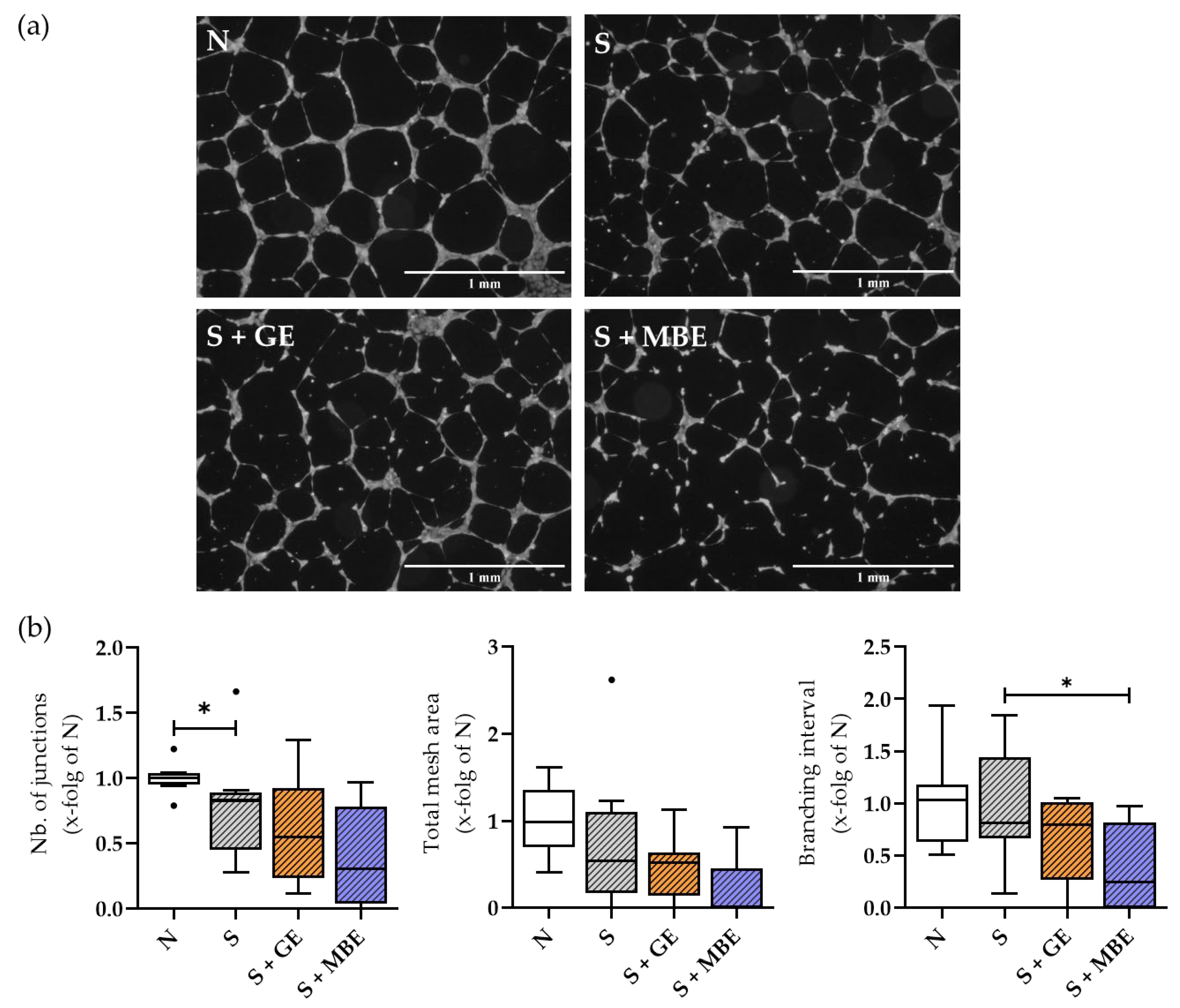 Foods 12 02960 g009 Foods 12 02960 g009