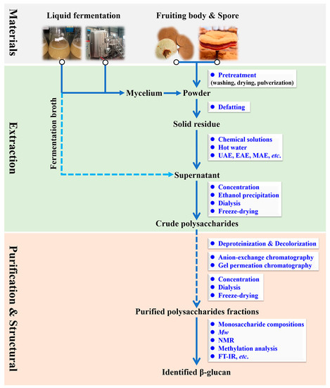 Recent Advances in the Preparation, Structure, and
