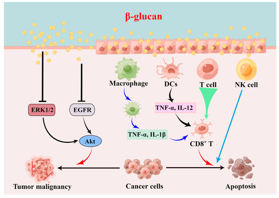 Recent Advances in the Preparation, Structure, and Biological