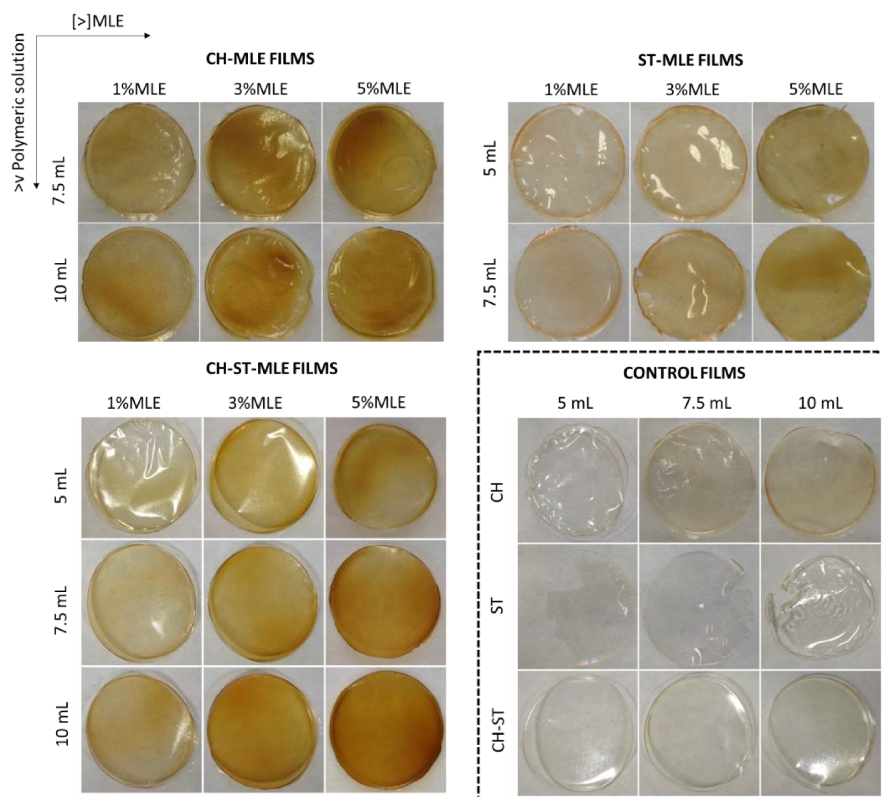 Foods 12 02977 g001 Foods 12 02977 g001