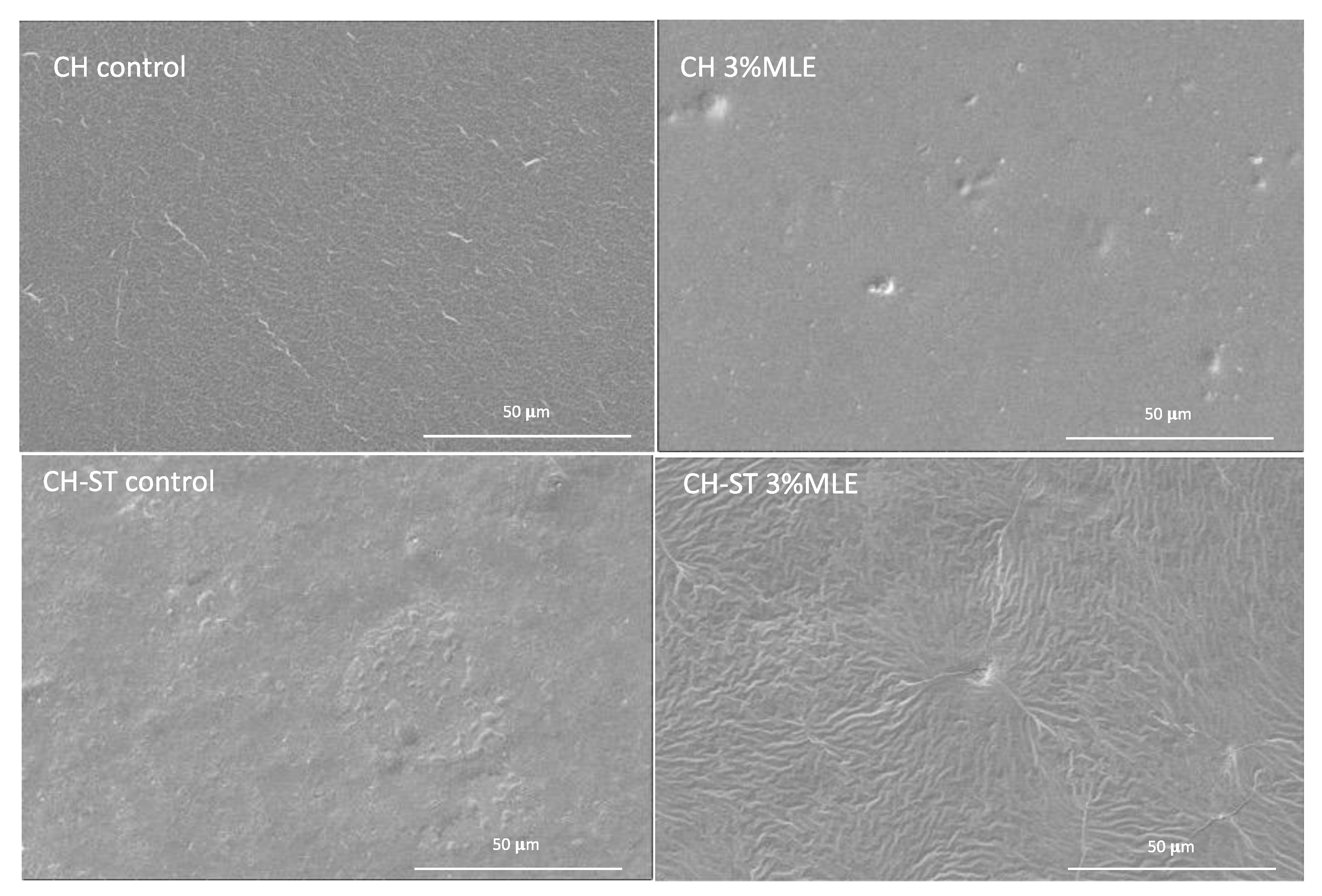 Foods 12 02977 g005 Foods 12 02977 g005