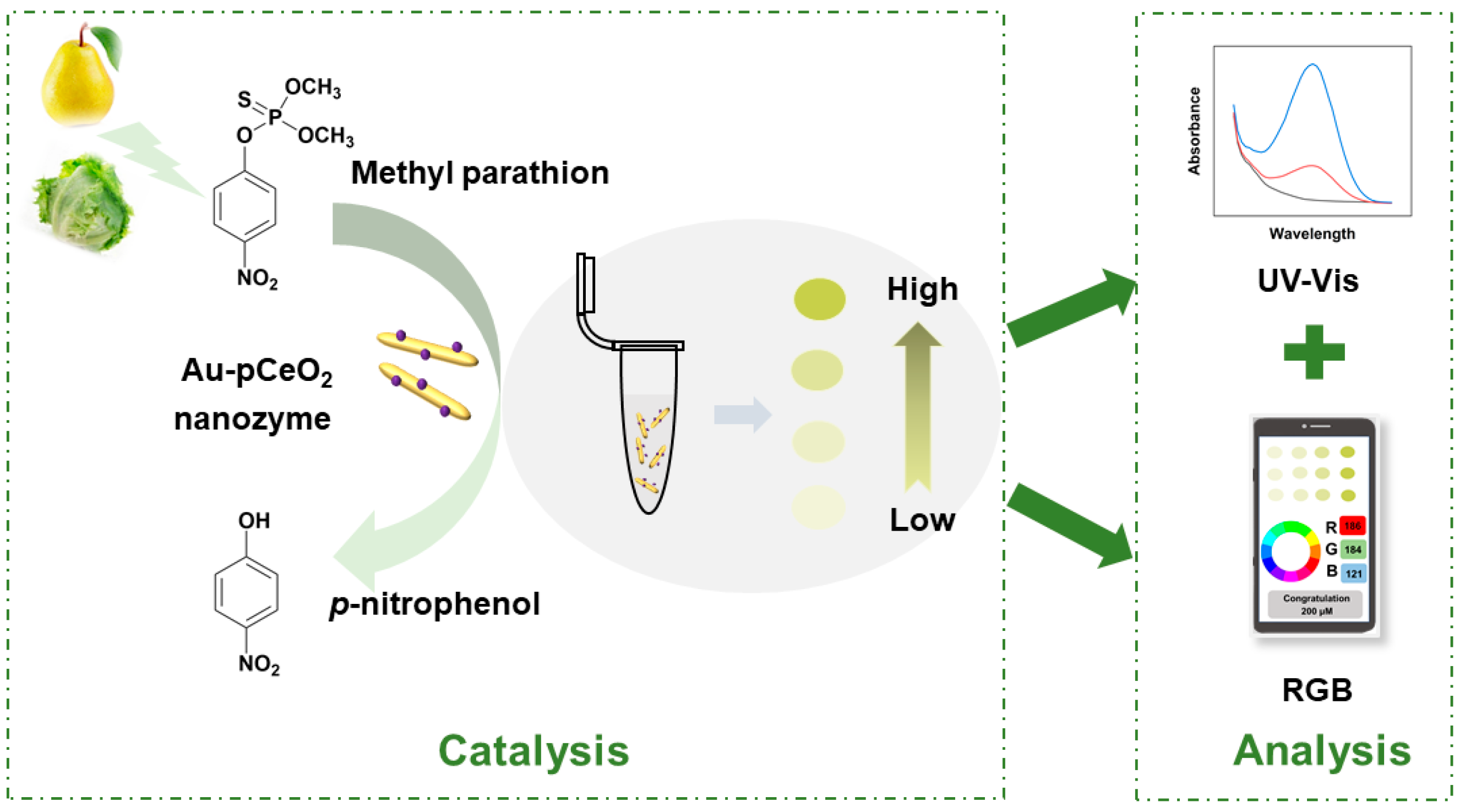 Foods 12 02980 g001 Foods 12 02980 g001