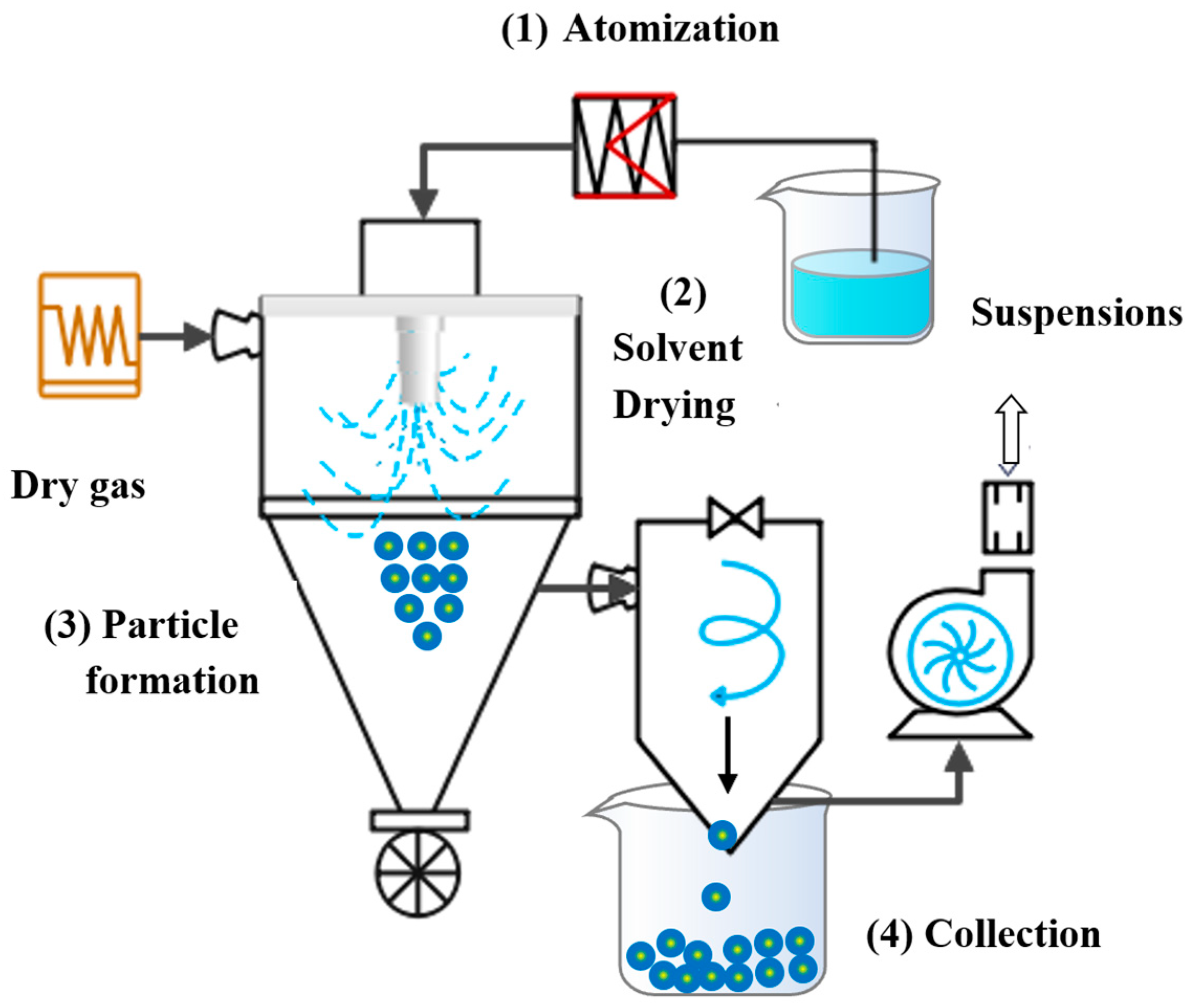 Foods 12 02999 g004 Foods 12 02999 g004