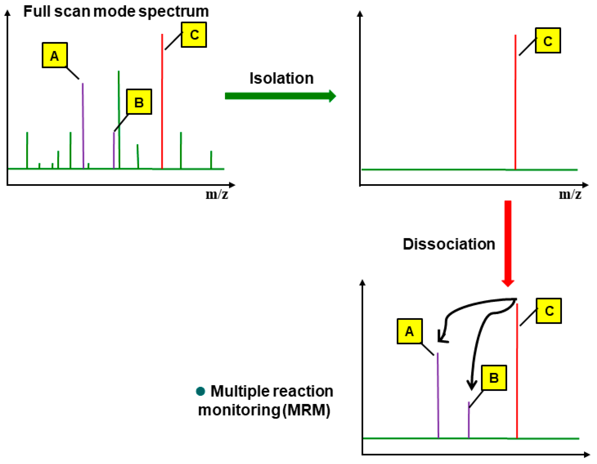 Foods 12 03001 g003 Foods 12 03001 g003