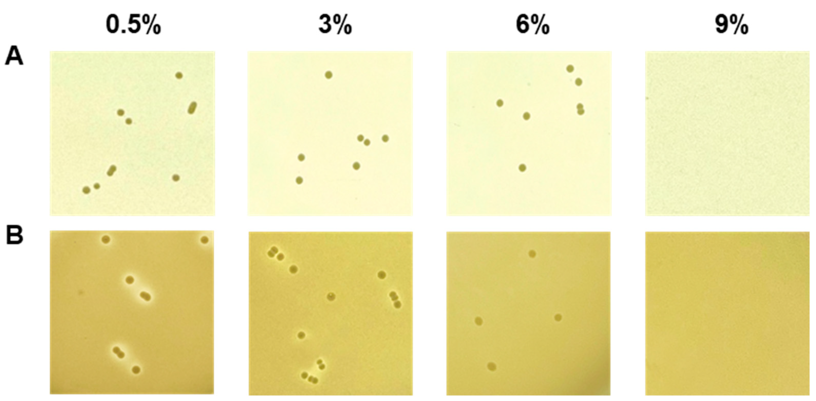 Foods 12 03008 g002 Foods 12 03008 g002