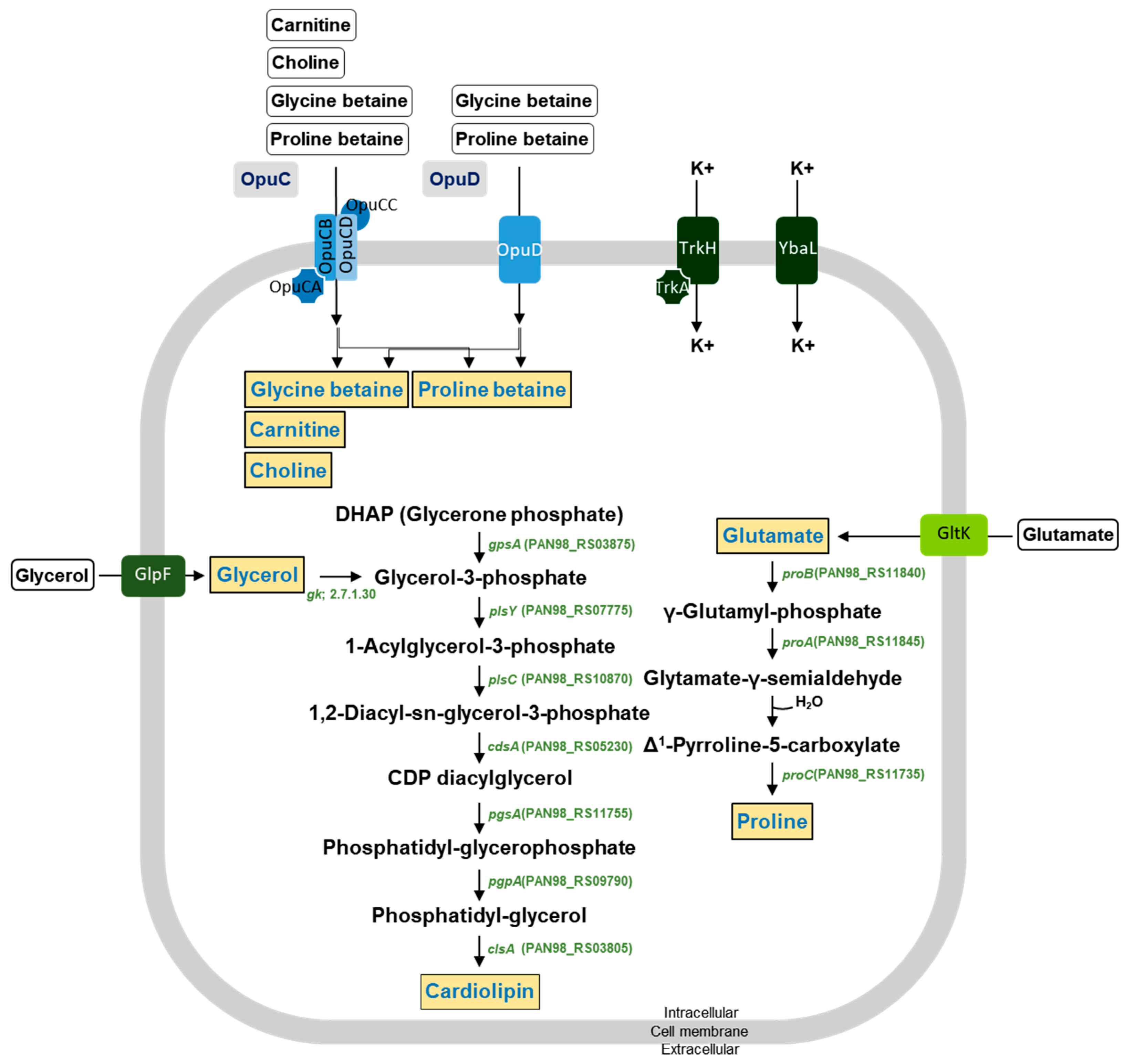 Foods 12 03008 g005 Foods 12 03008 g005