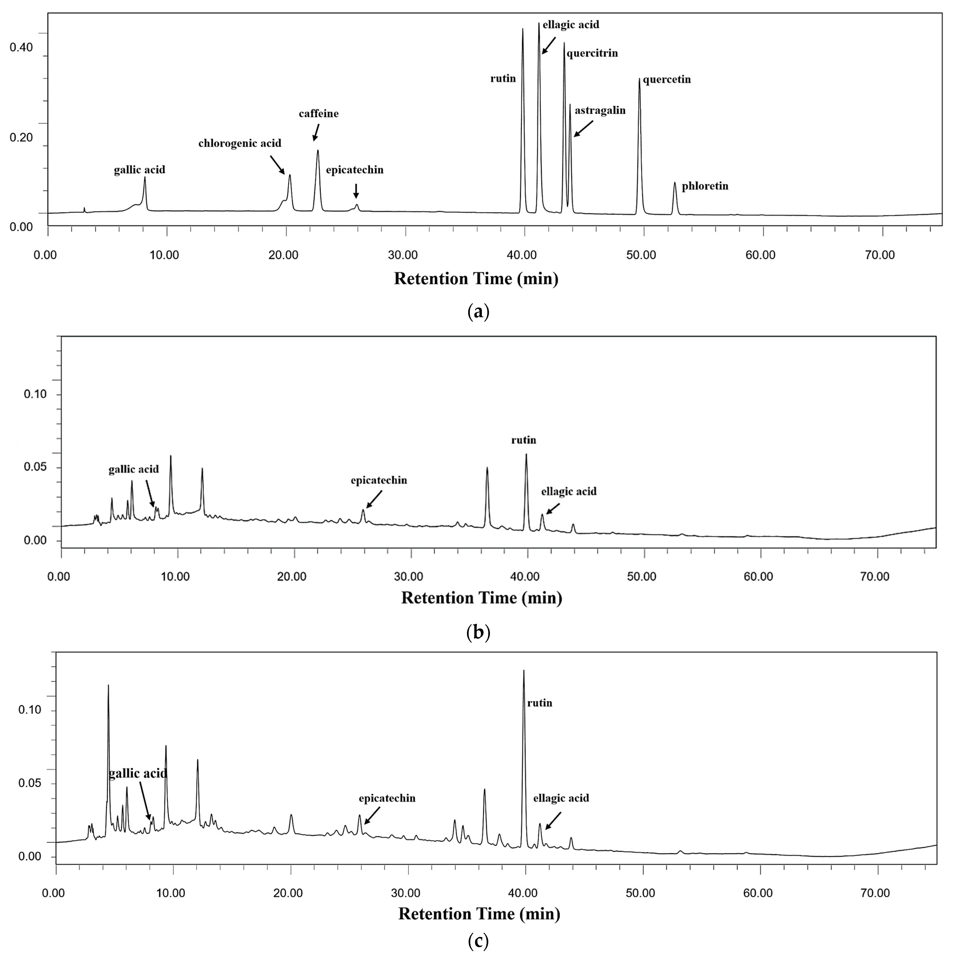 Foods 12 03010 g005a
