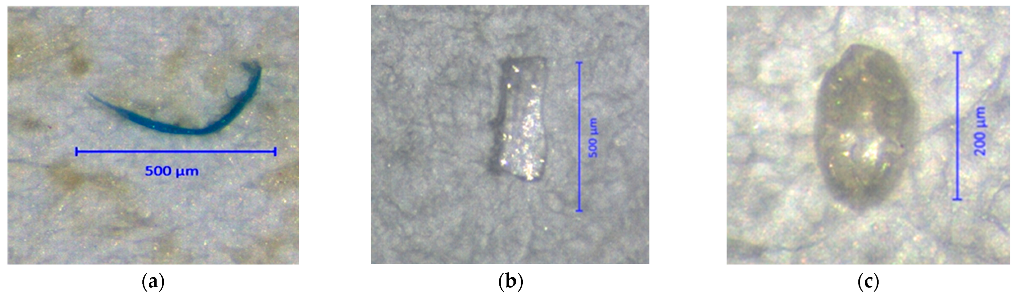 Foods 12 03018 g002 Foods 12 03018 g002