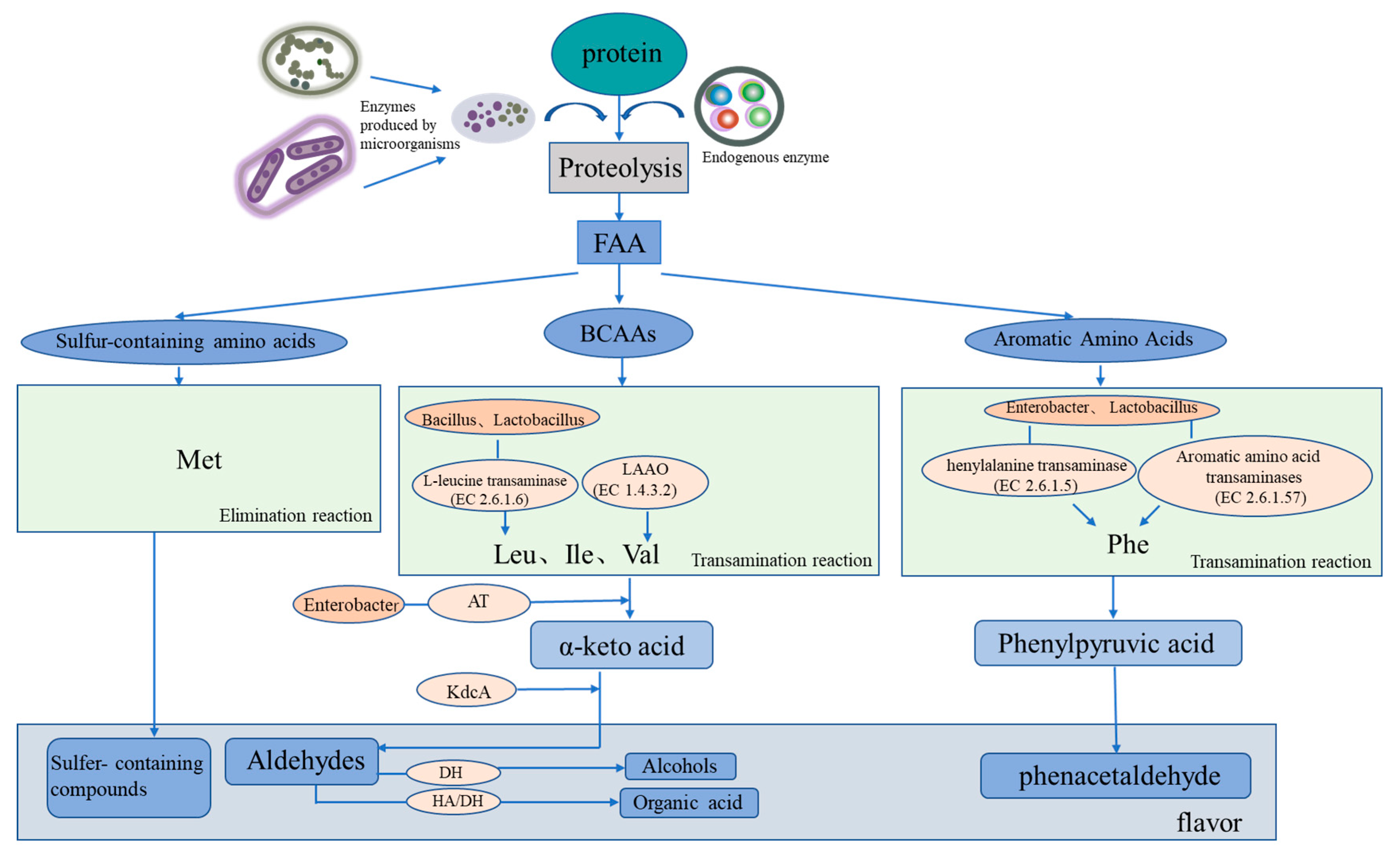 Foods 12 03020 g002 Foods 12 03020 g002