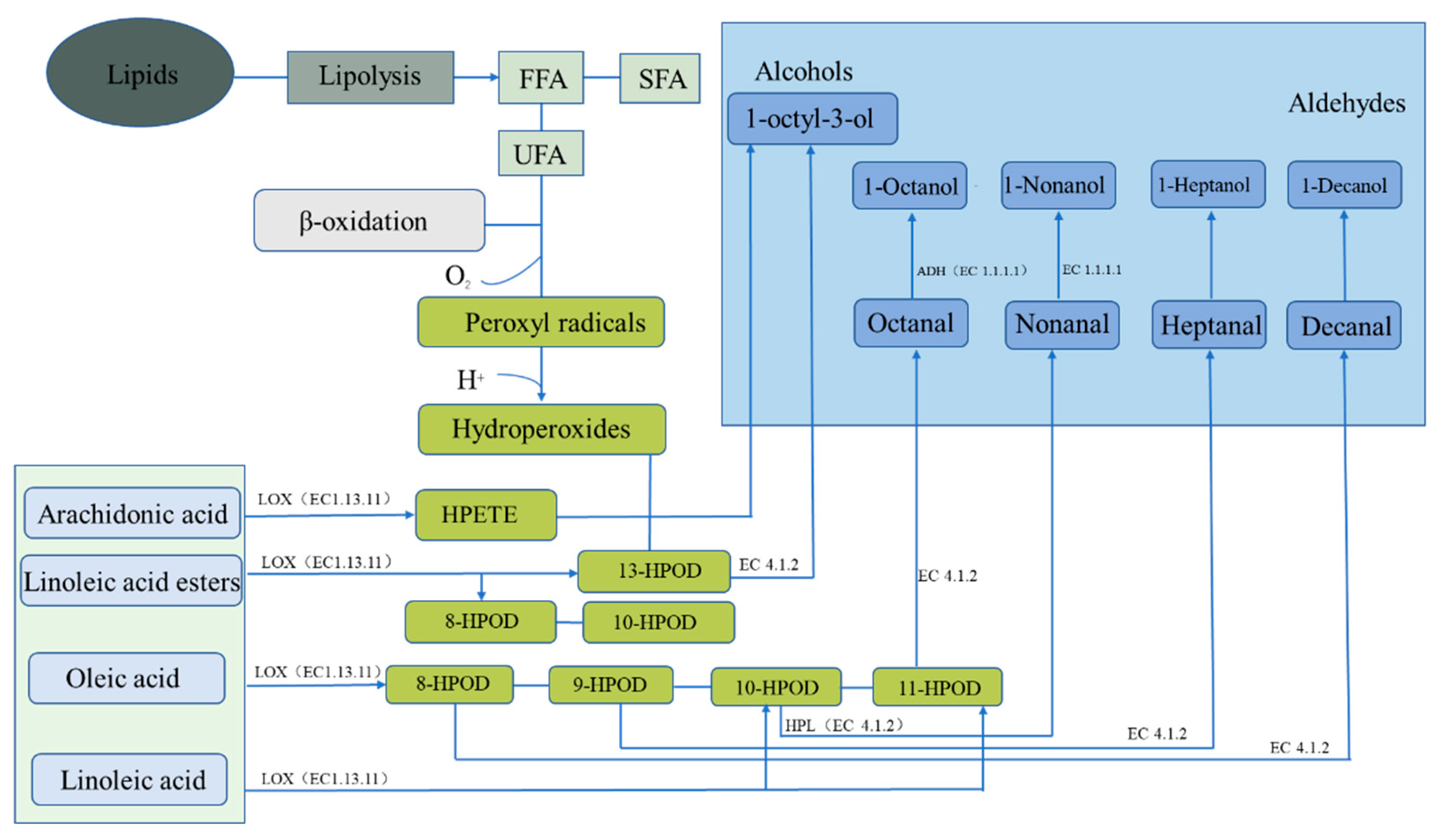 Foods 12 03020 g003 Foods 12 03020 g003