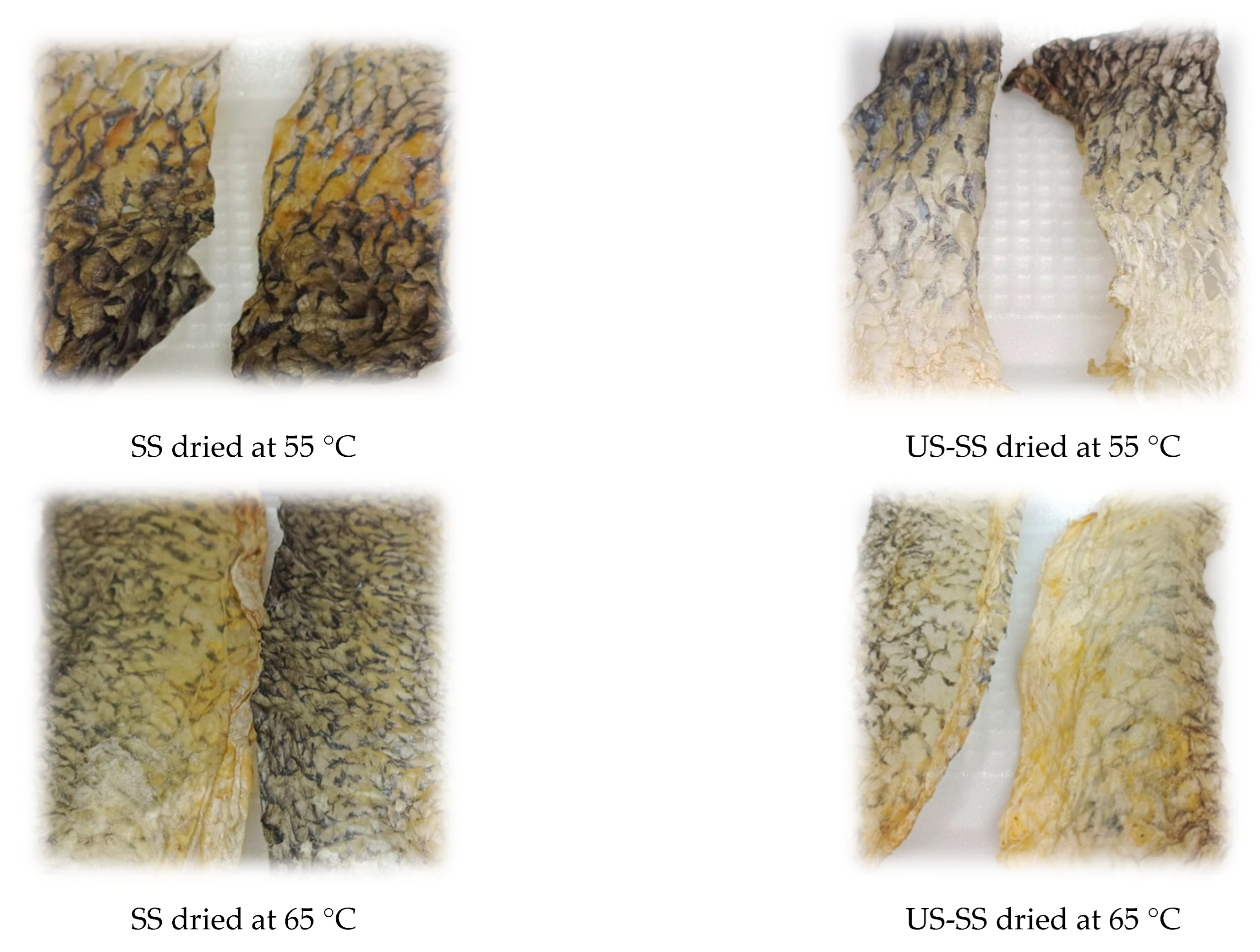 Foods 12 03024 g001b Foods 12 03024 g001b