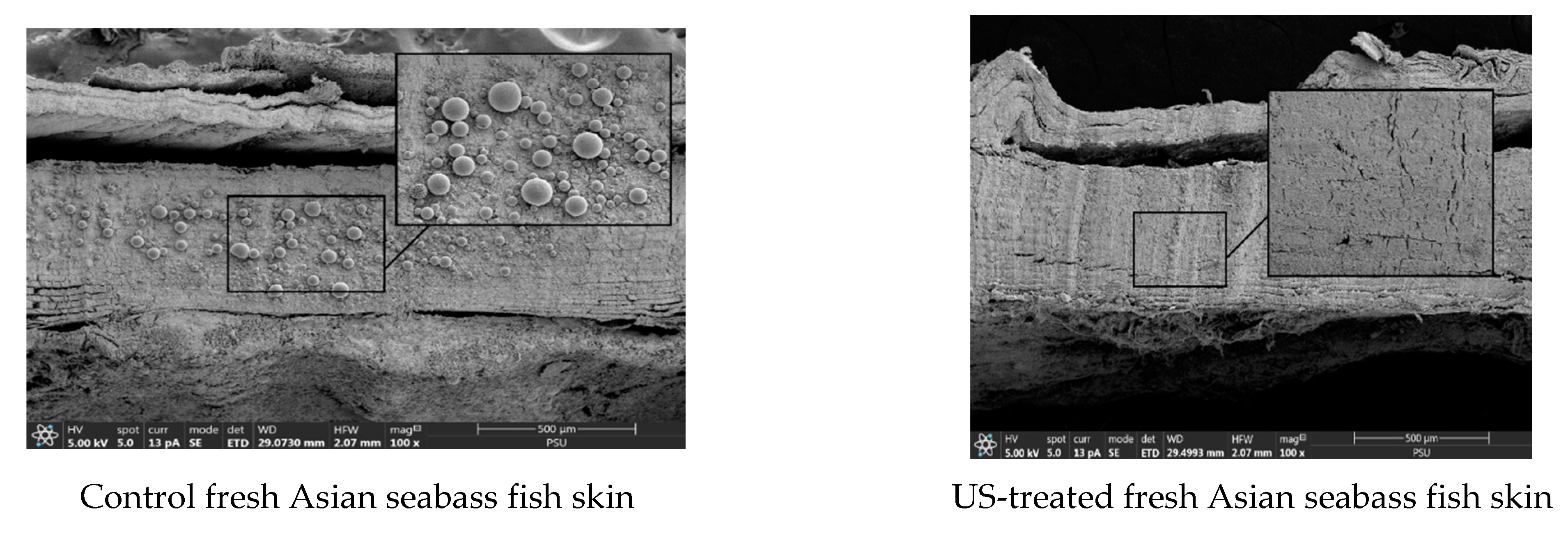 Foods 12 03024 g010a Foods 12 03024 g010a