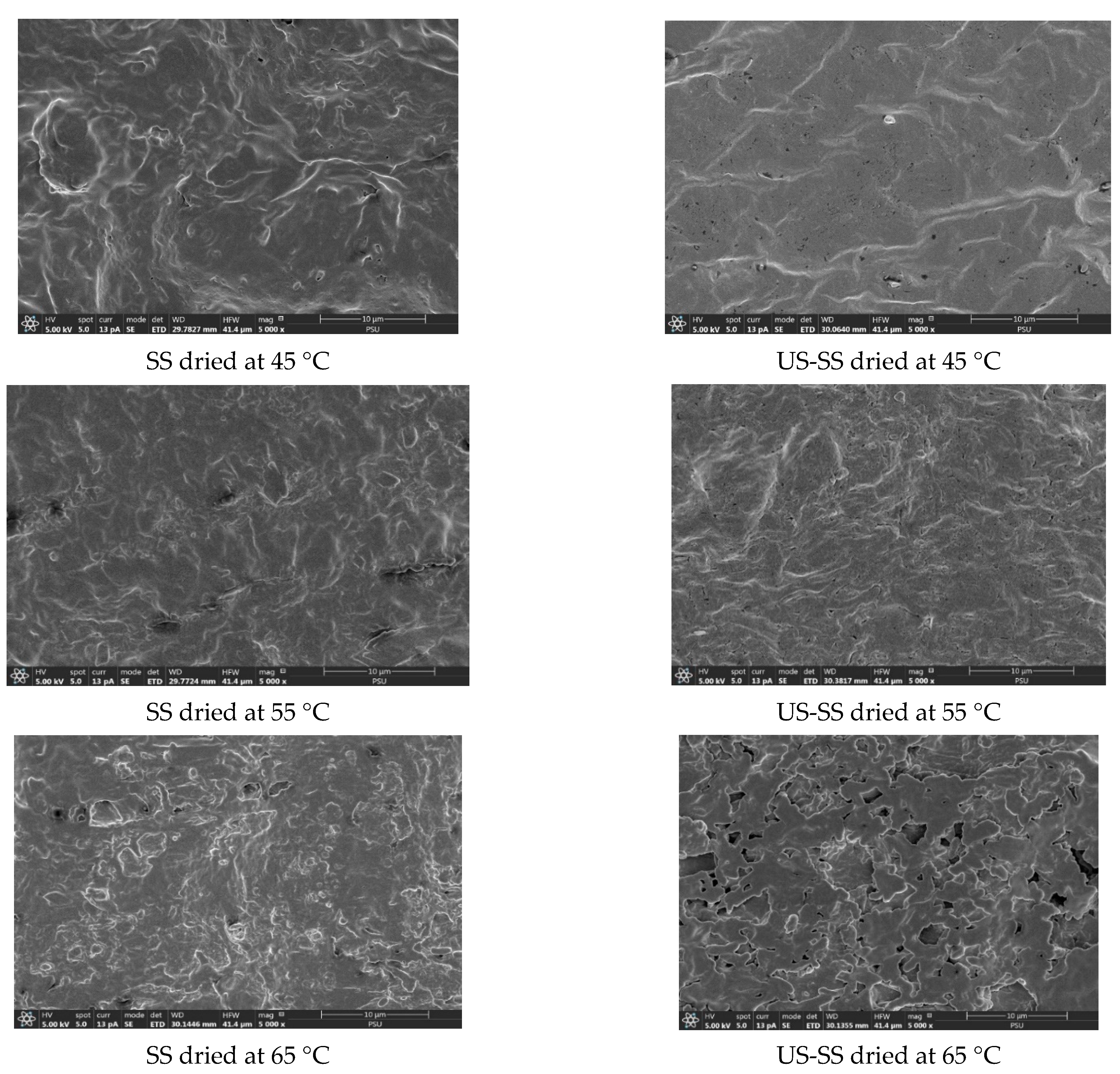 Foods 12 03024 g011b Foods 12 03024 g011b