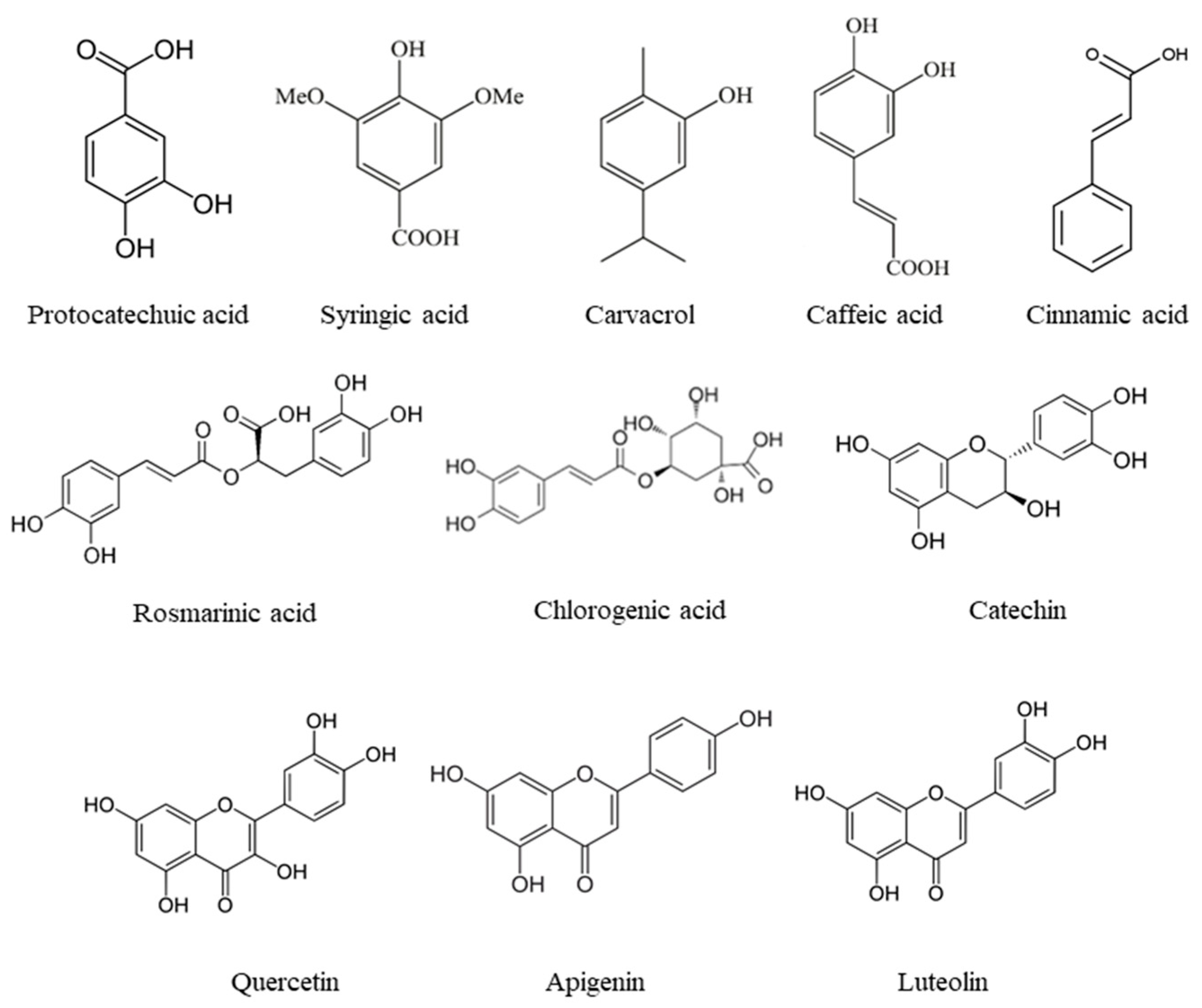 Foods Free FullText Bioactive Potential of Aqueous Phenolic