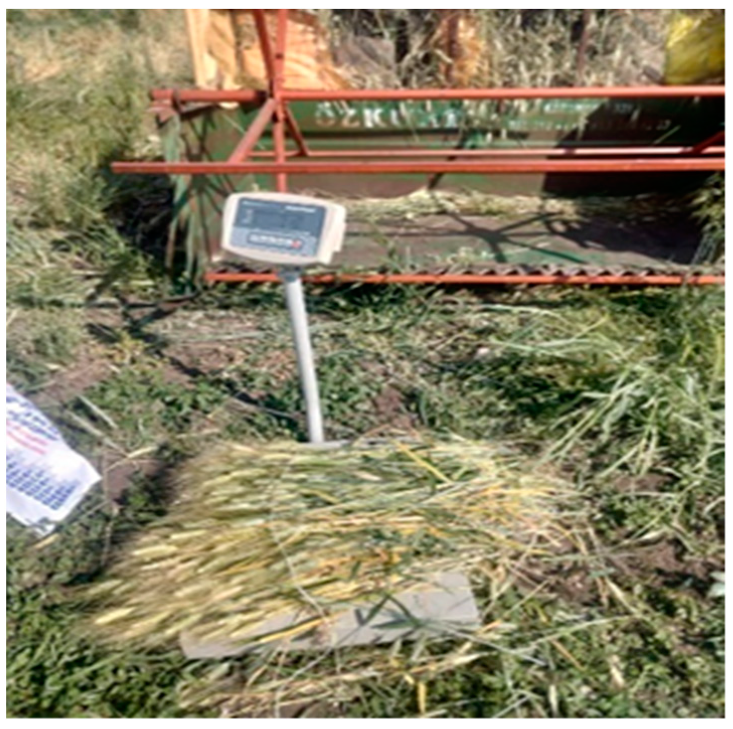 Foods 12 03037 g001 Foods 12 03037 g001