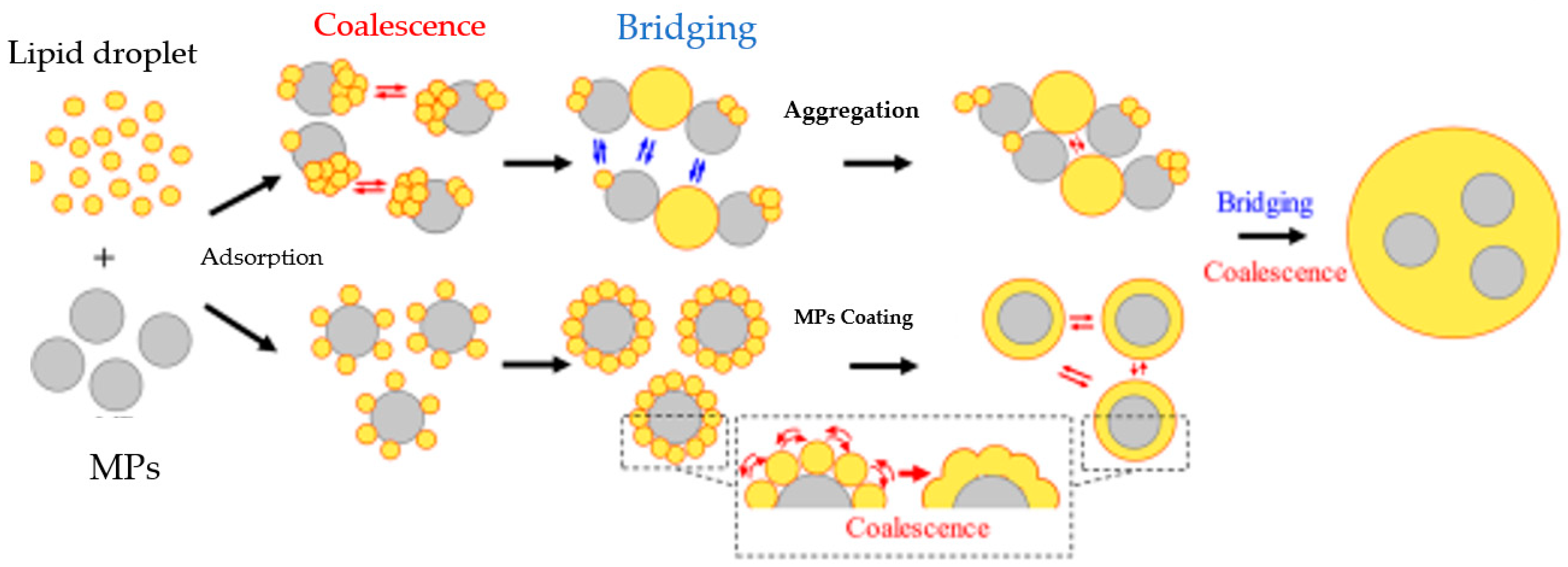Foods 12 03043 g002 Foods 12 03043 g002