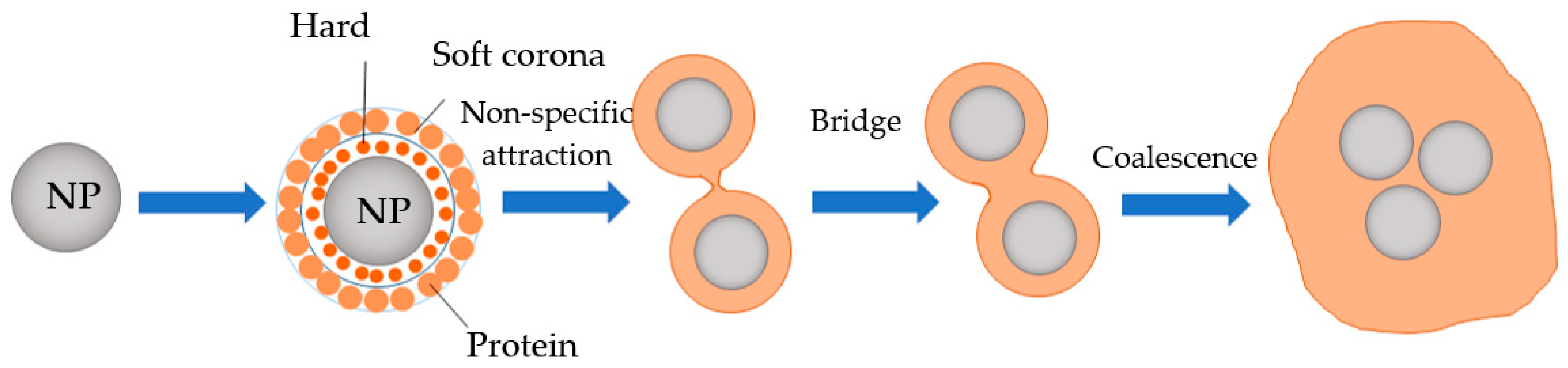 Foods 12 03043 g003 Foods 12 03043 g003