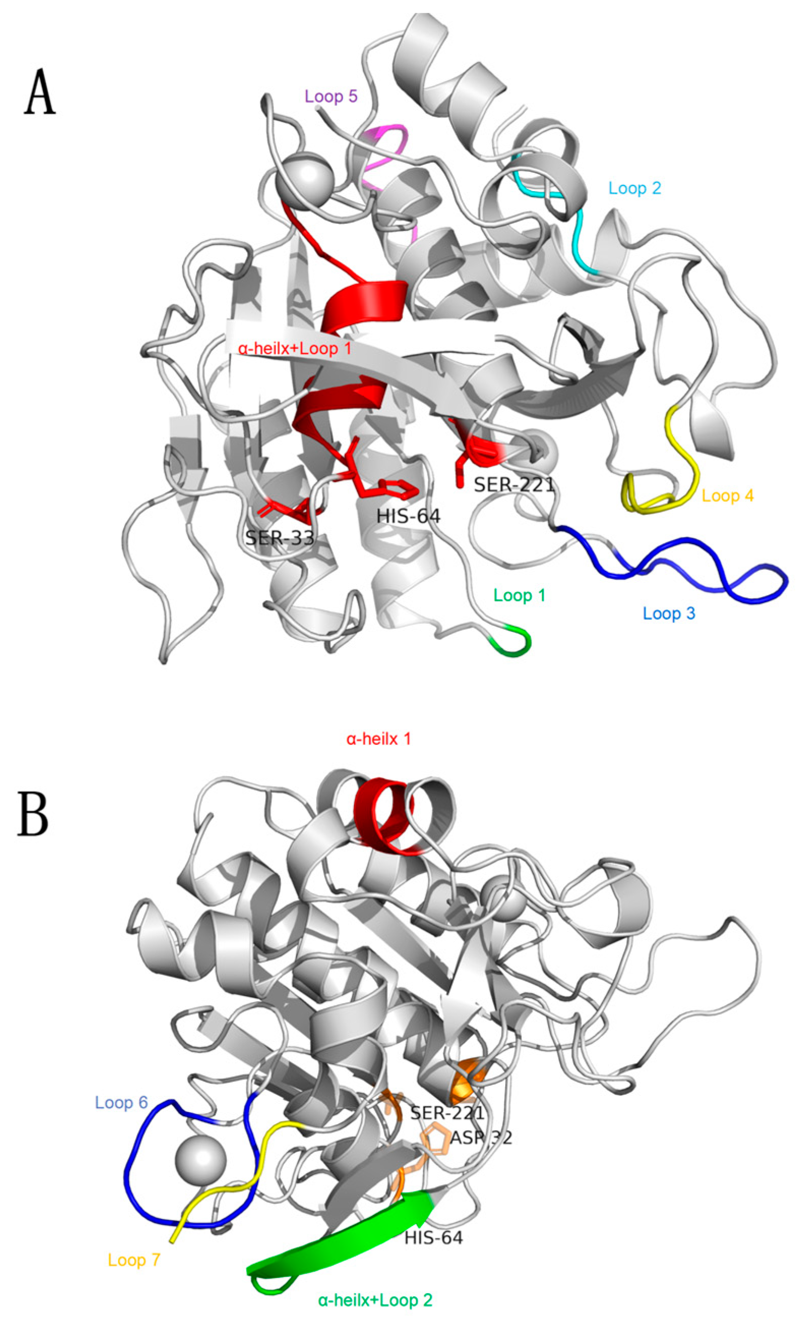 Foods 12 03045 g007 Foods 12 03045 g007