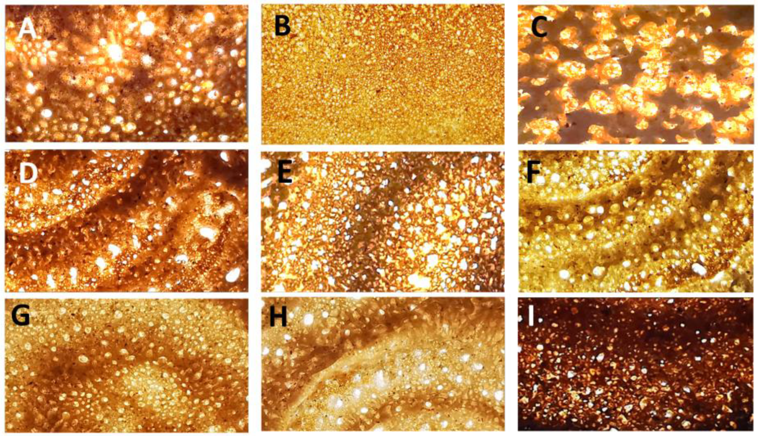 Foods 12 03050 g003 Foods 12 03050 g003