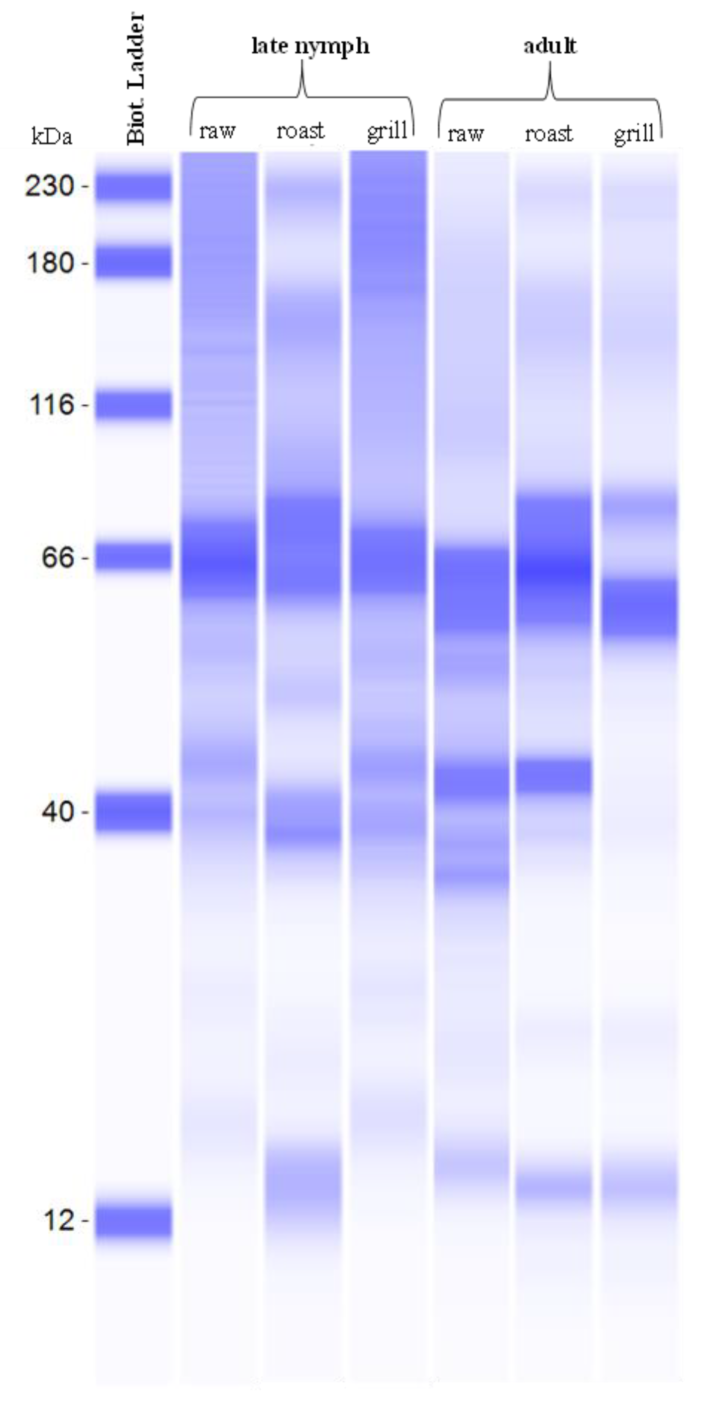 Foods 12 03053 g002 Foods 12 03053 g002