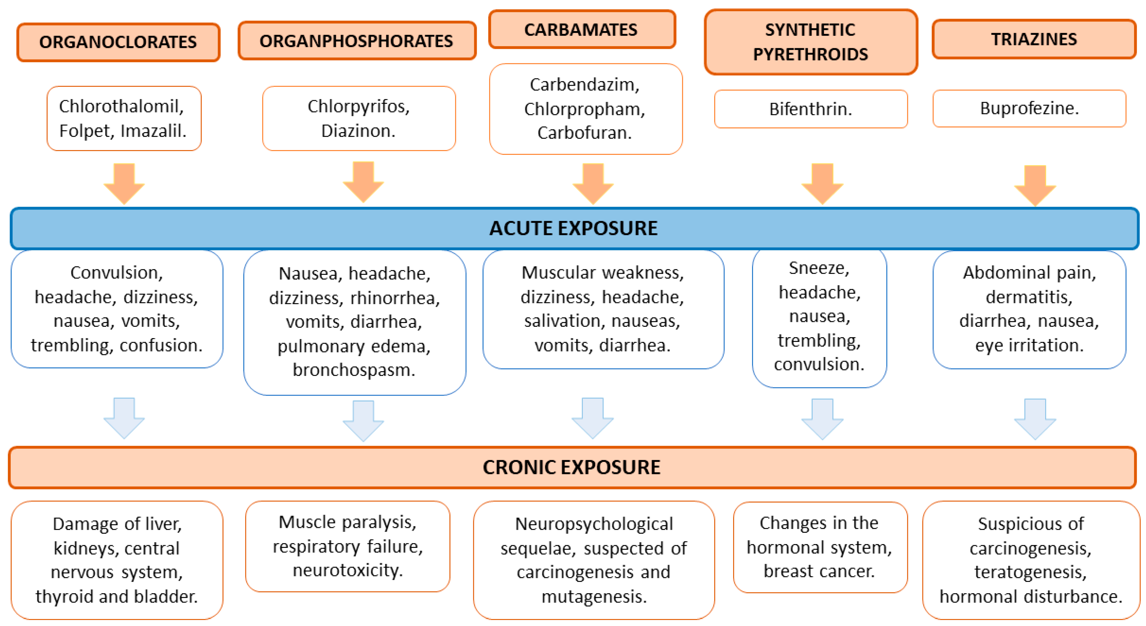 Challenges in the Application of Circular ... Biology Diagrams