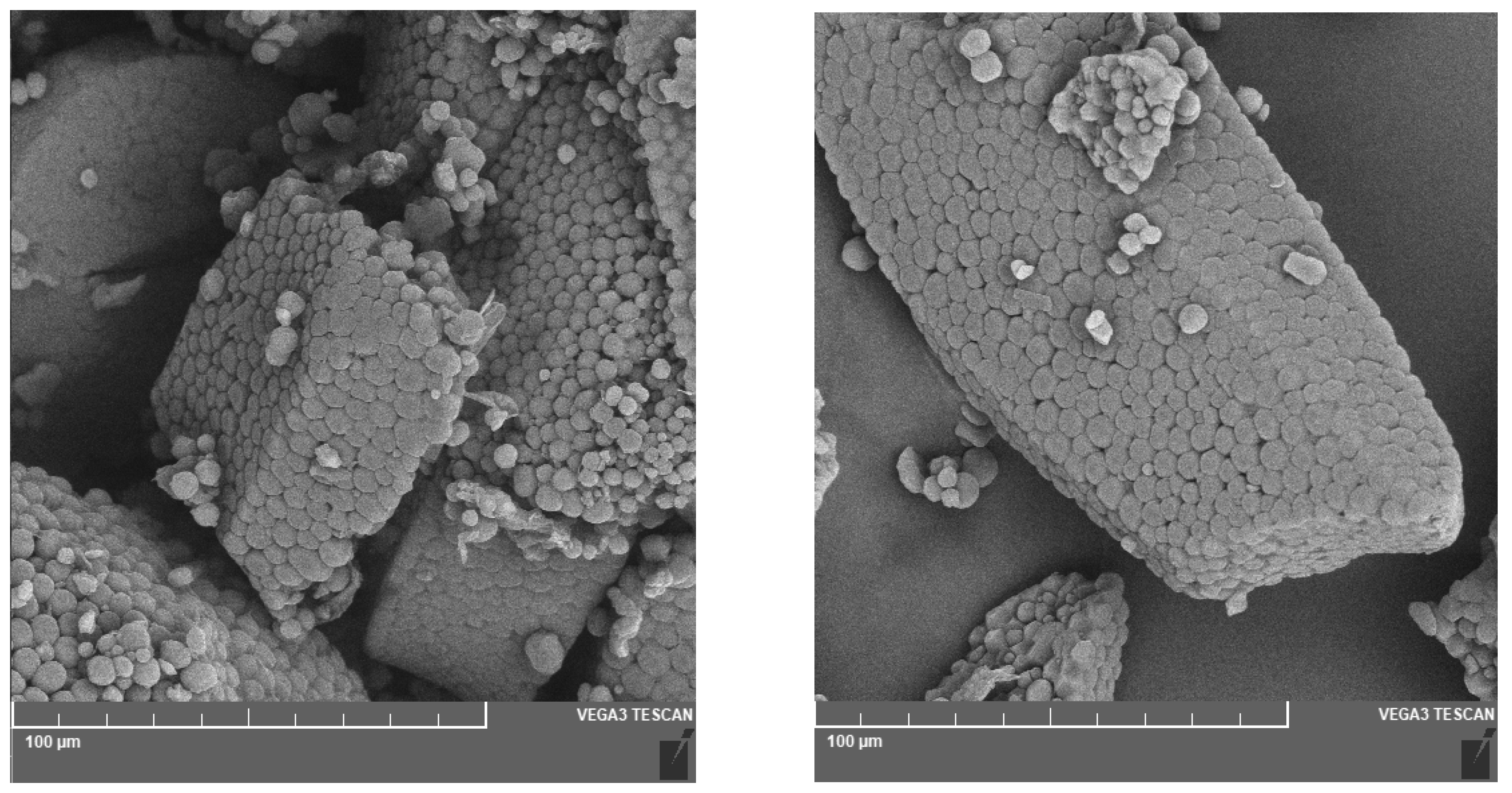 Foods 12 03055 g003 Foods 12 03055 g003