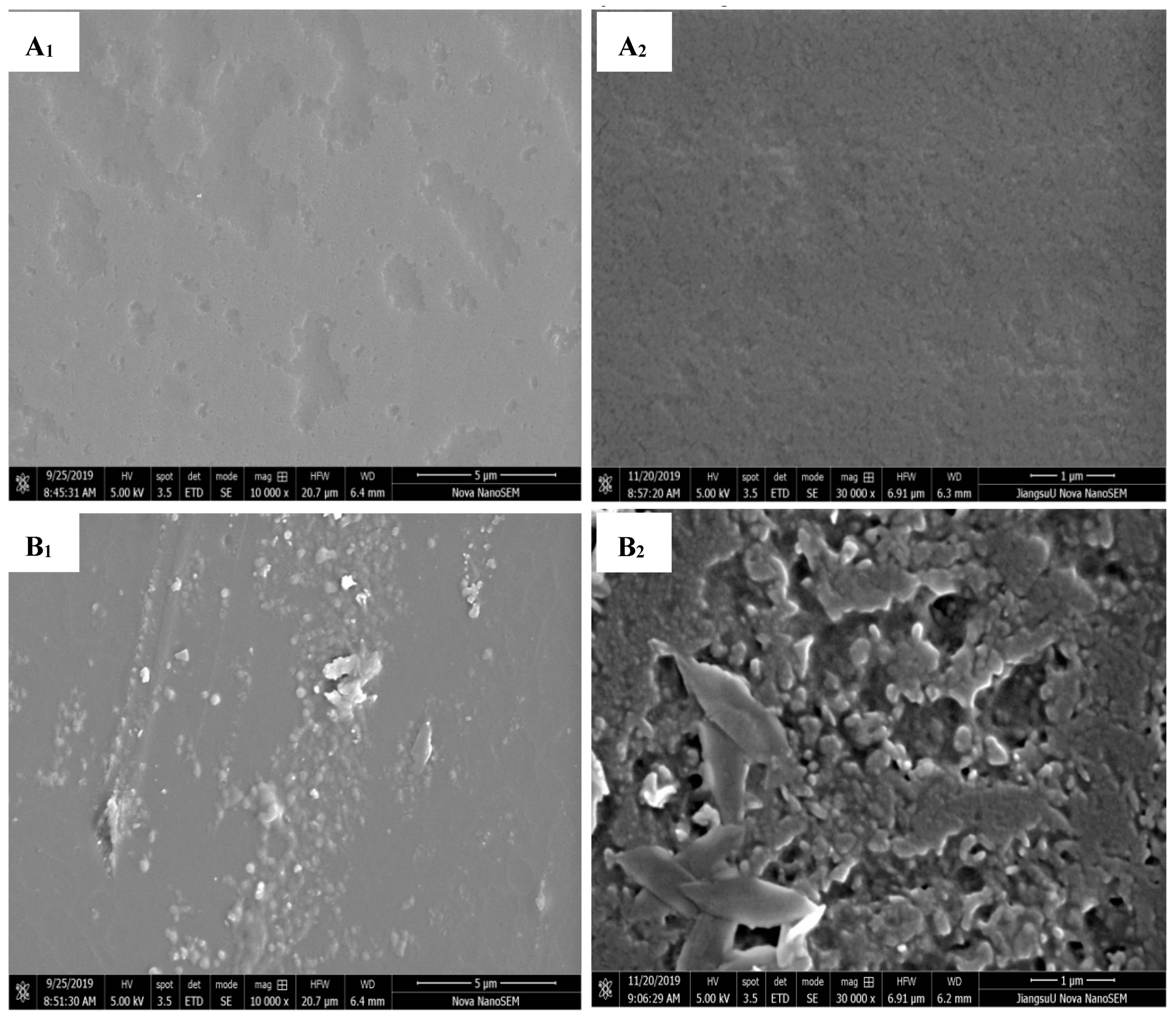 Foods 12 03056 g004a