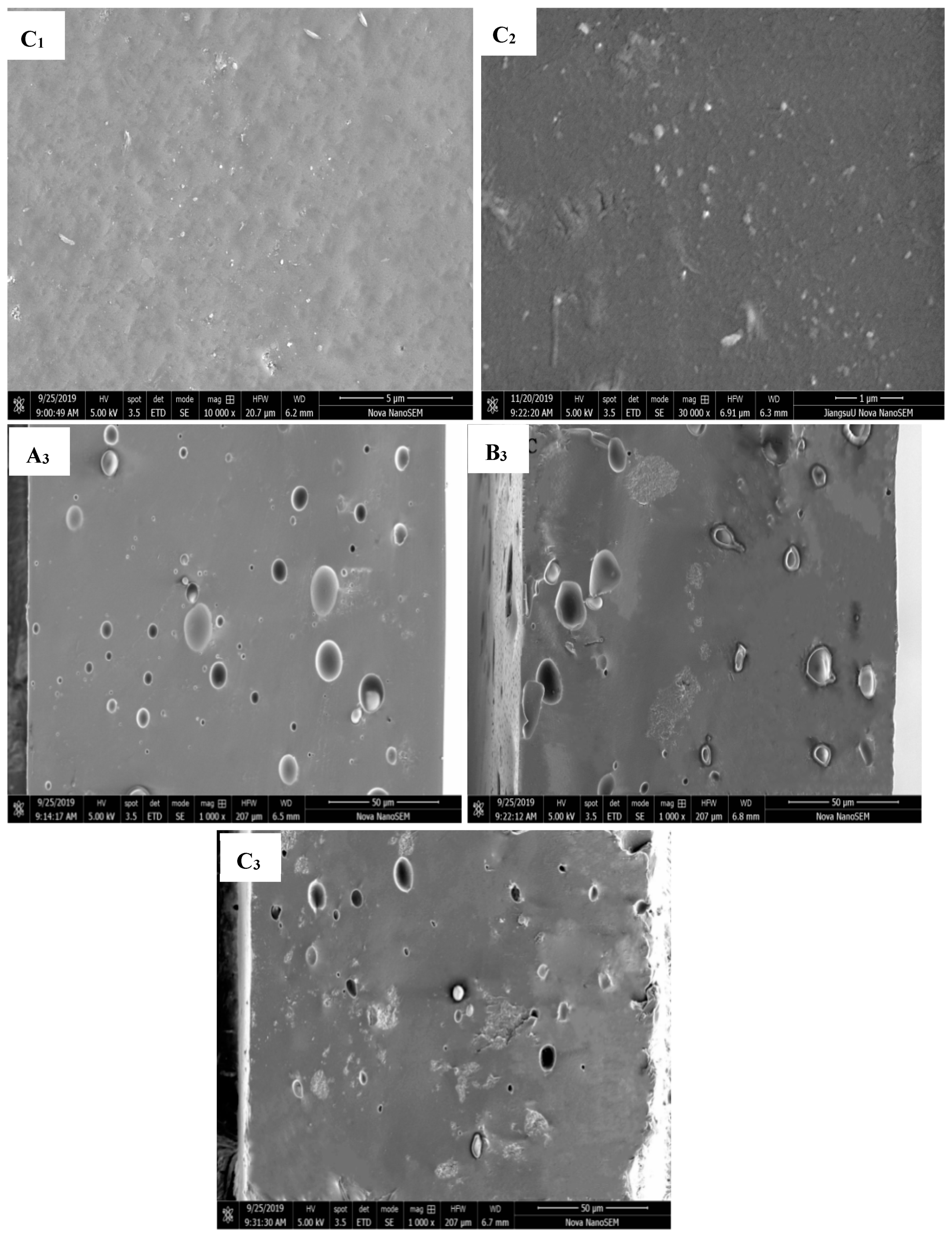 Foods 12 03056 g004b
