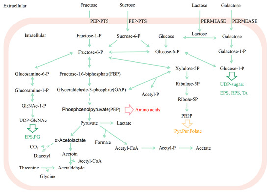 Advances in Genetic Tools and Their Application in
