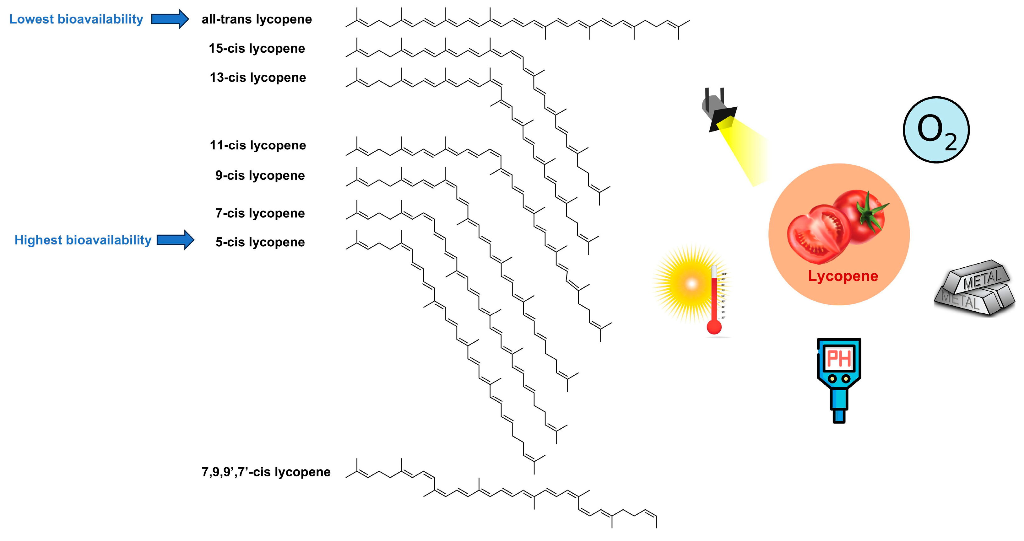 Foods | Free Full-Text | Recent Advances in Lycopene for Food 