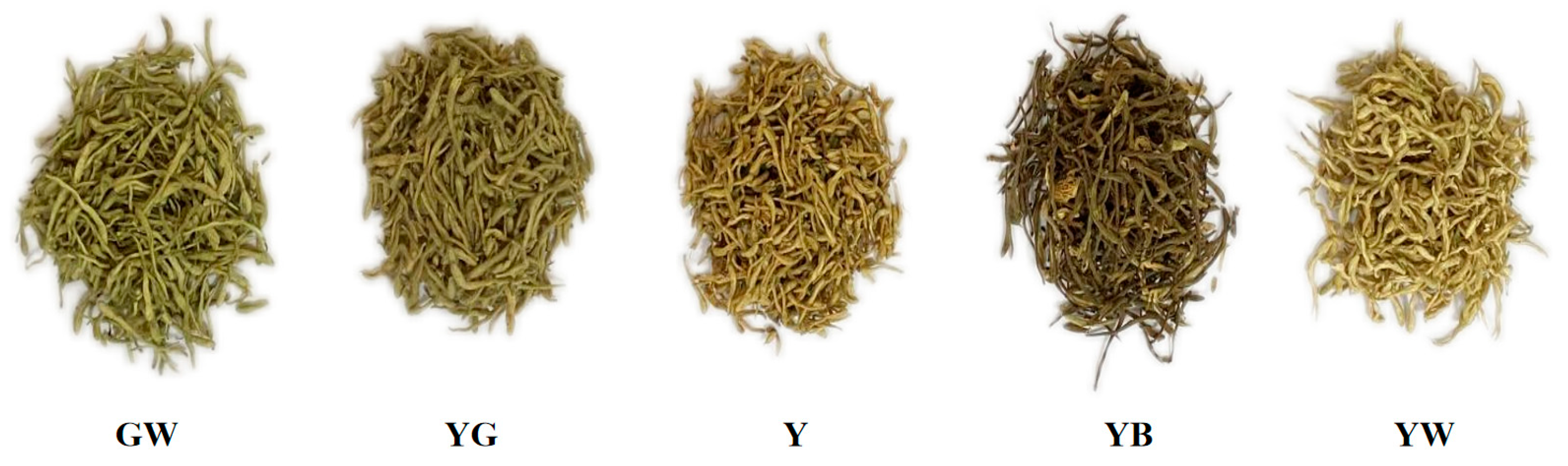 Foods 12 03126 g001 Foods 12 03126 g001