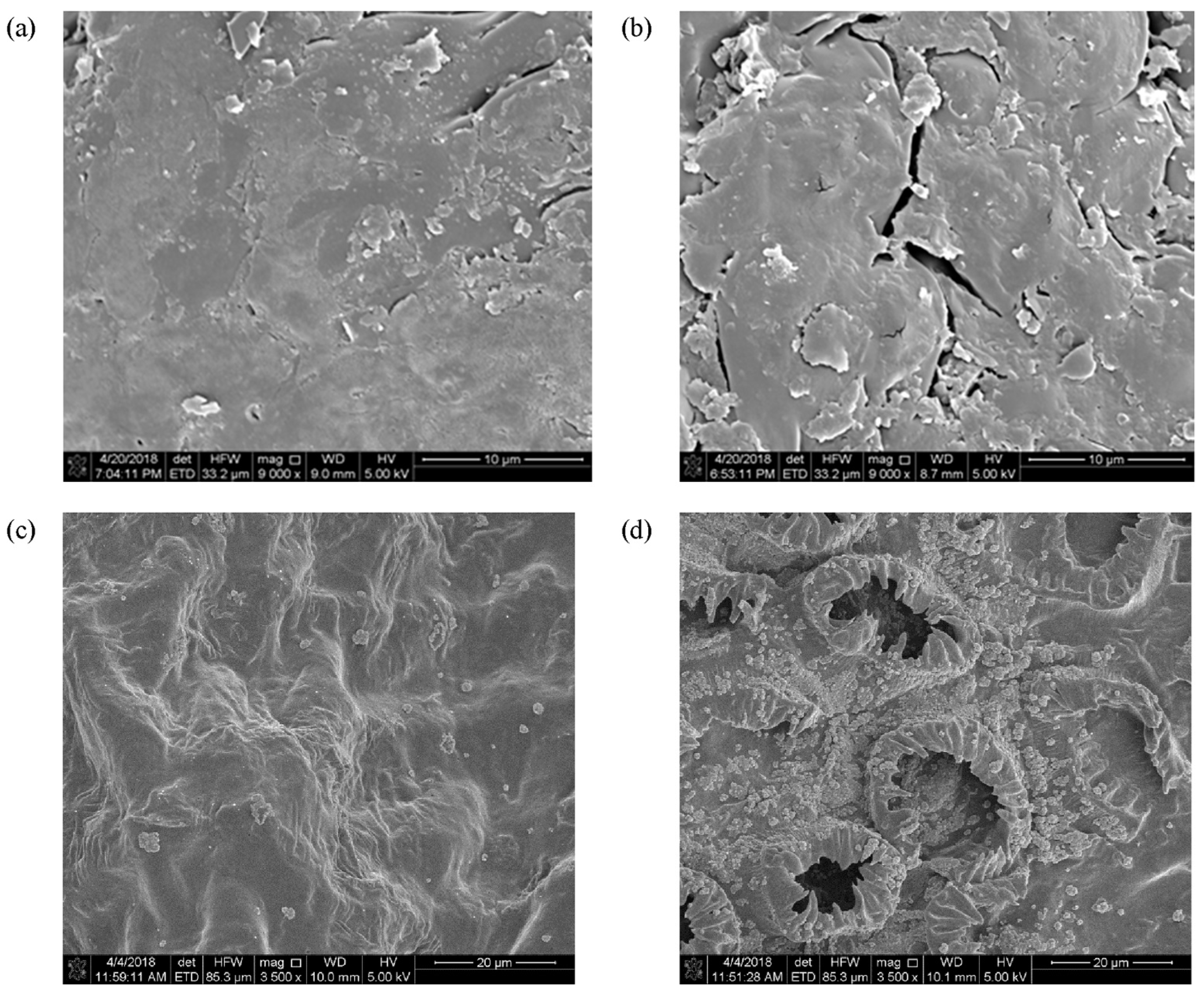 Foods 12 03181 g007 Foods 12 03181 g007