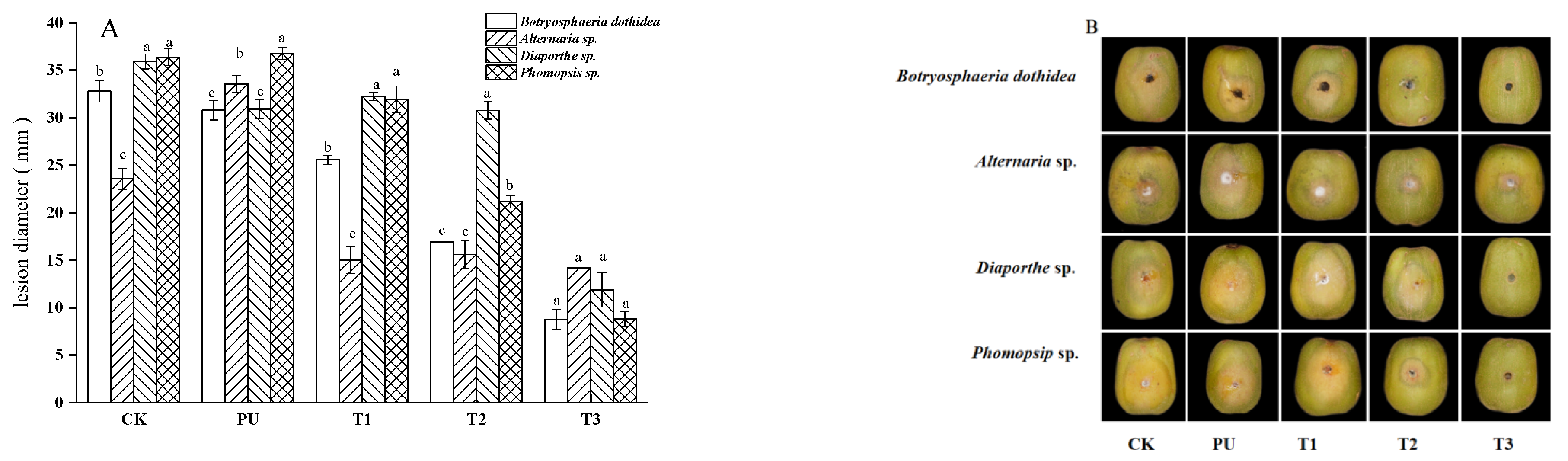 Foods 12 03197 g001 Foods 12 03197 g001