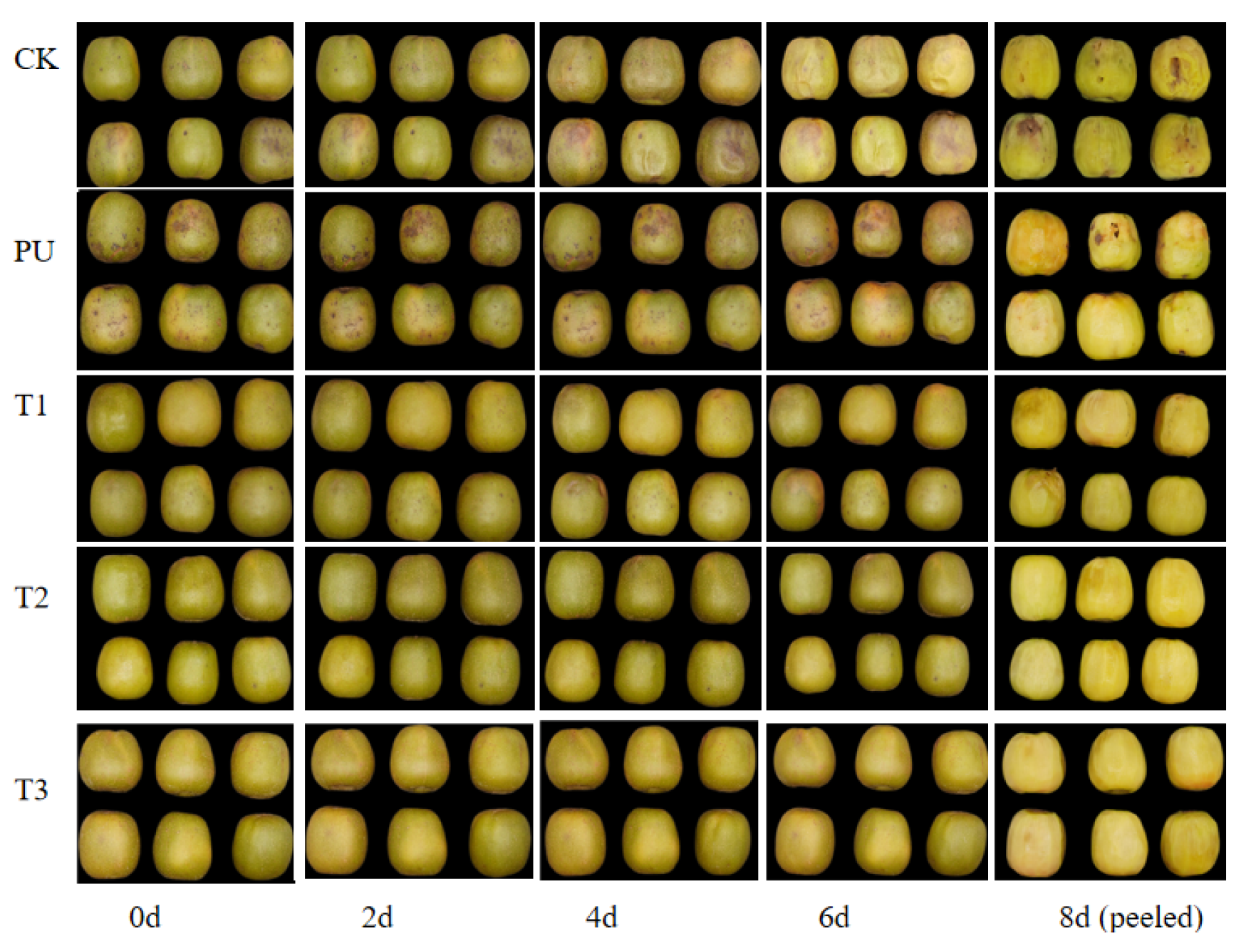 Foods 12 03197 g002 Foods 12 03197 g002