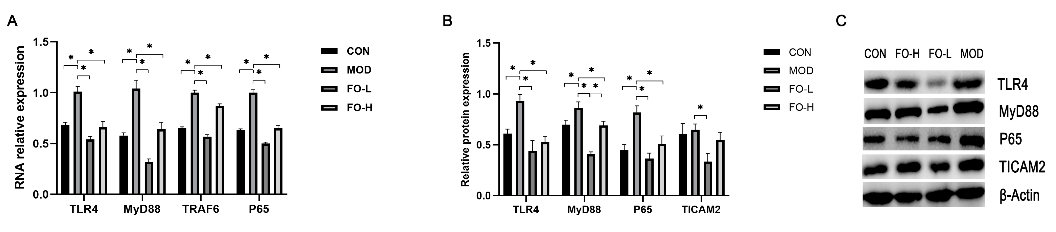 Foods 12 03229 g003 Foods 12 03229 g003