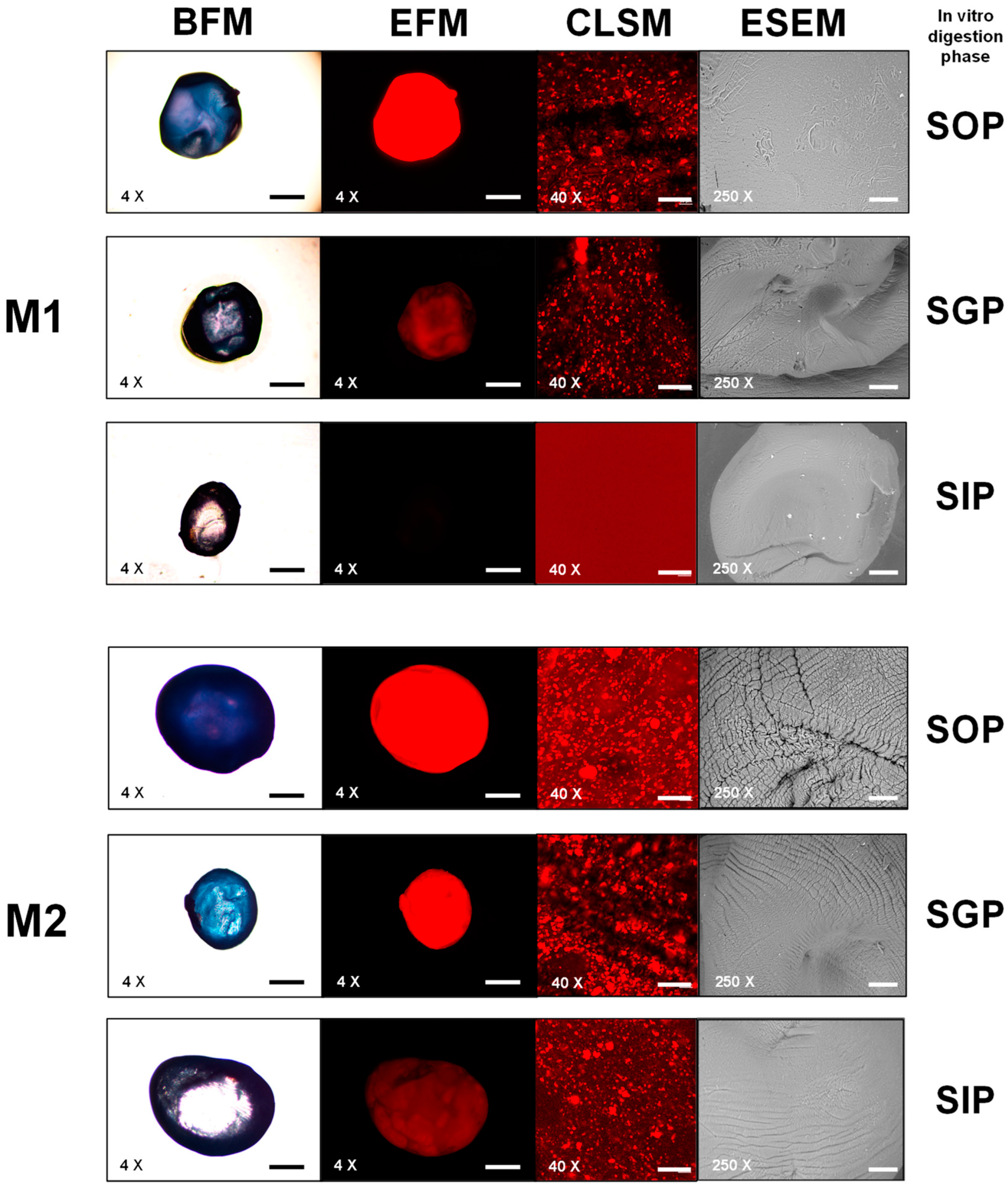 Foods 12 03272 g007a