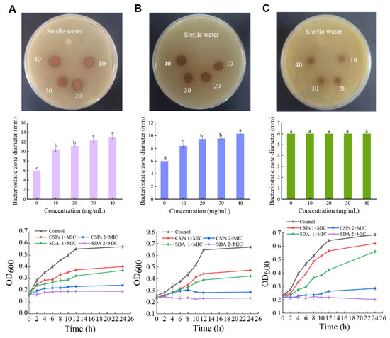 Chestnut Shell Polyphenols Inhibit the Growth of Three Food