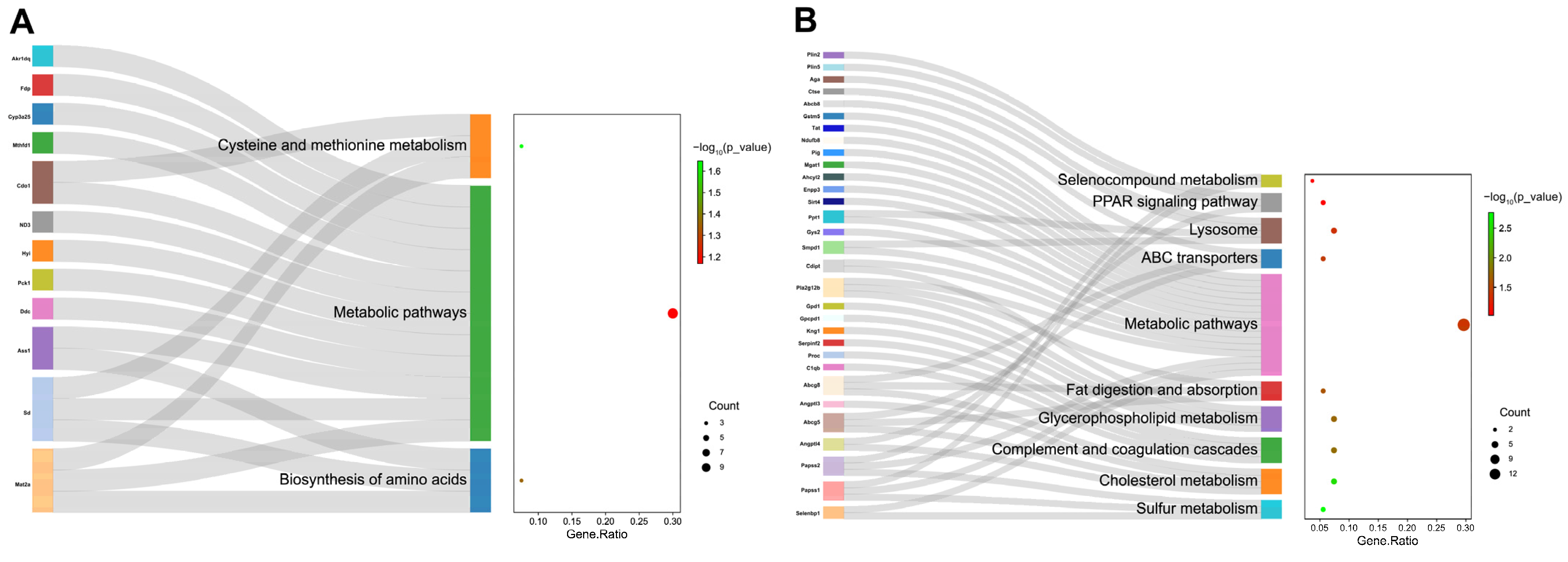 Foods 12 03322 g006 Foods 12 03322 g006
