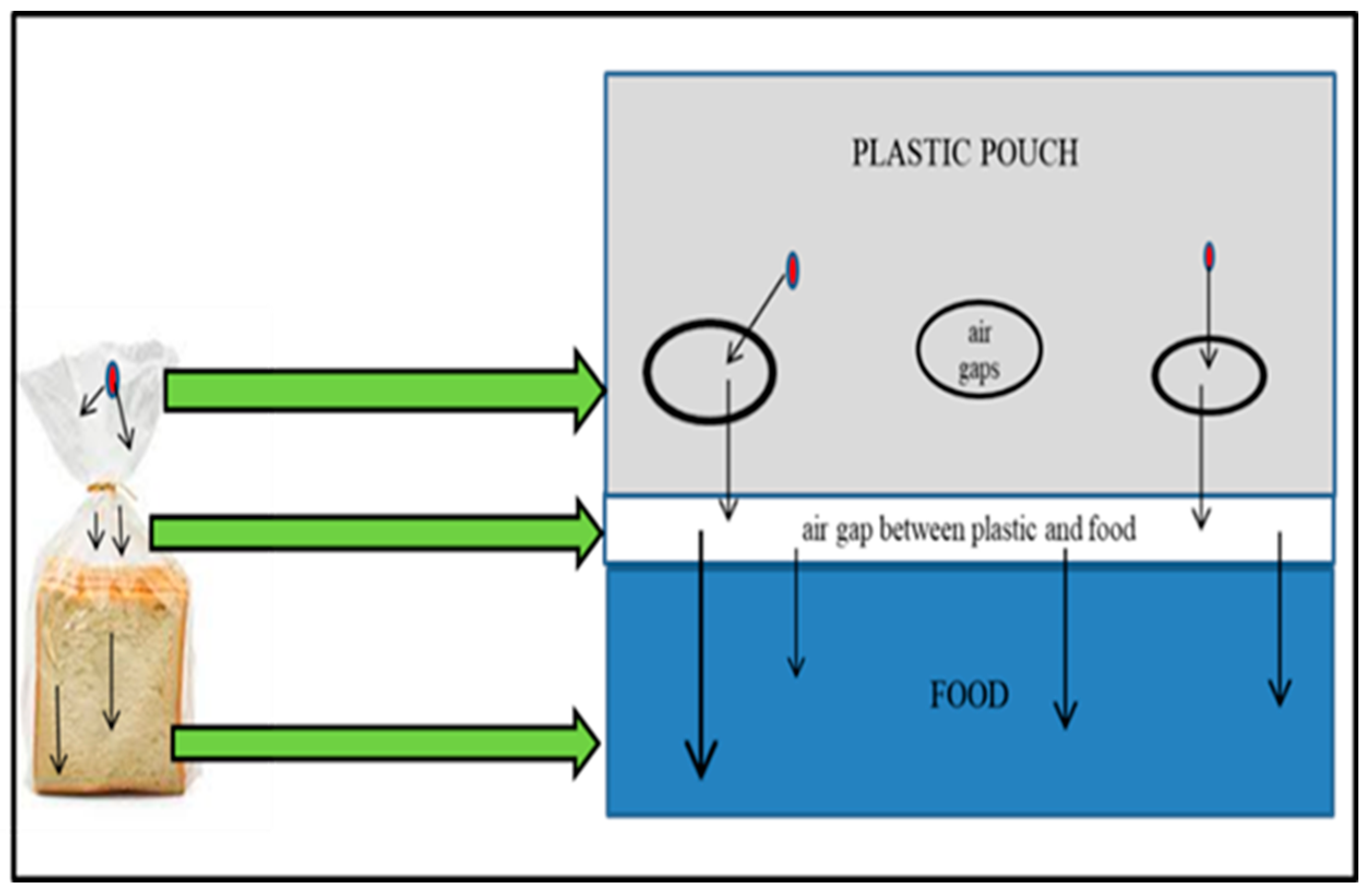 Foods 12 03364 g004 Foods 12 03364 g004
