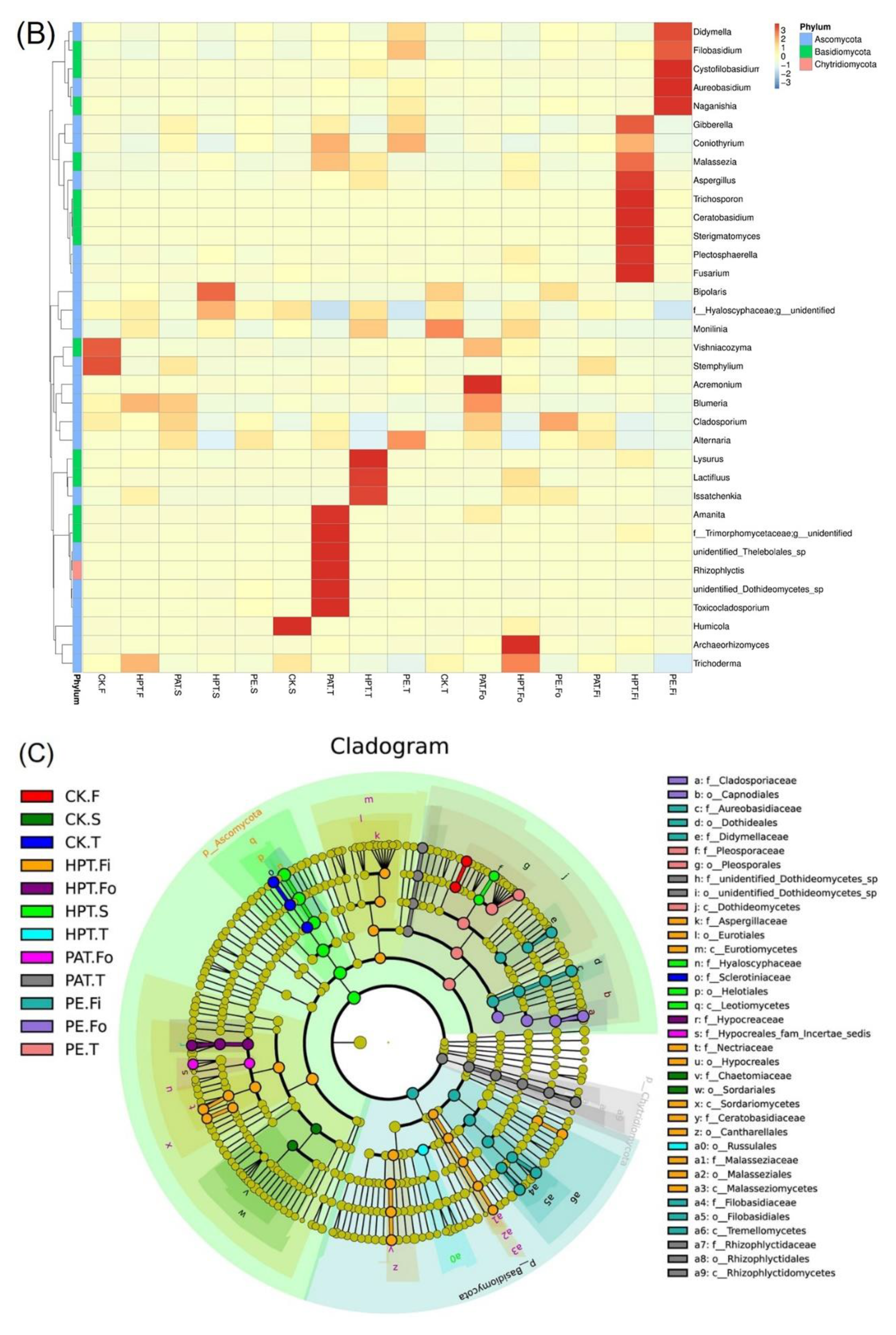 Foods 12 03370 g006b