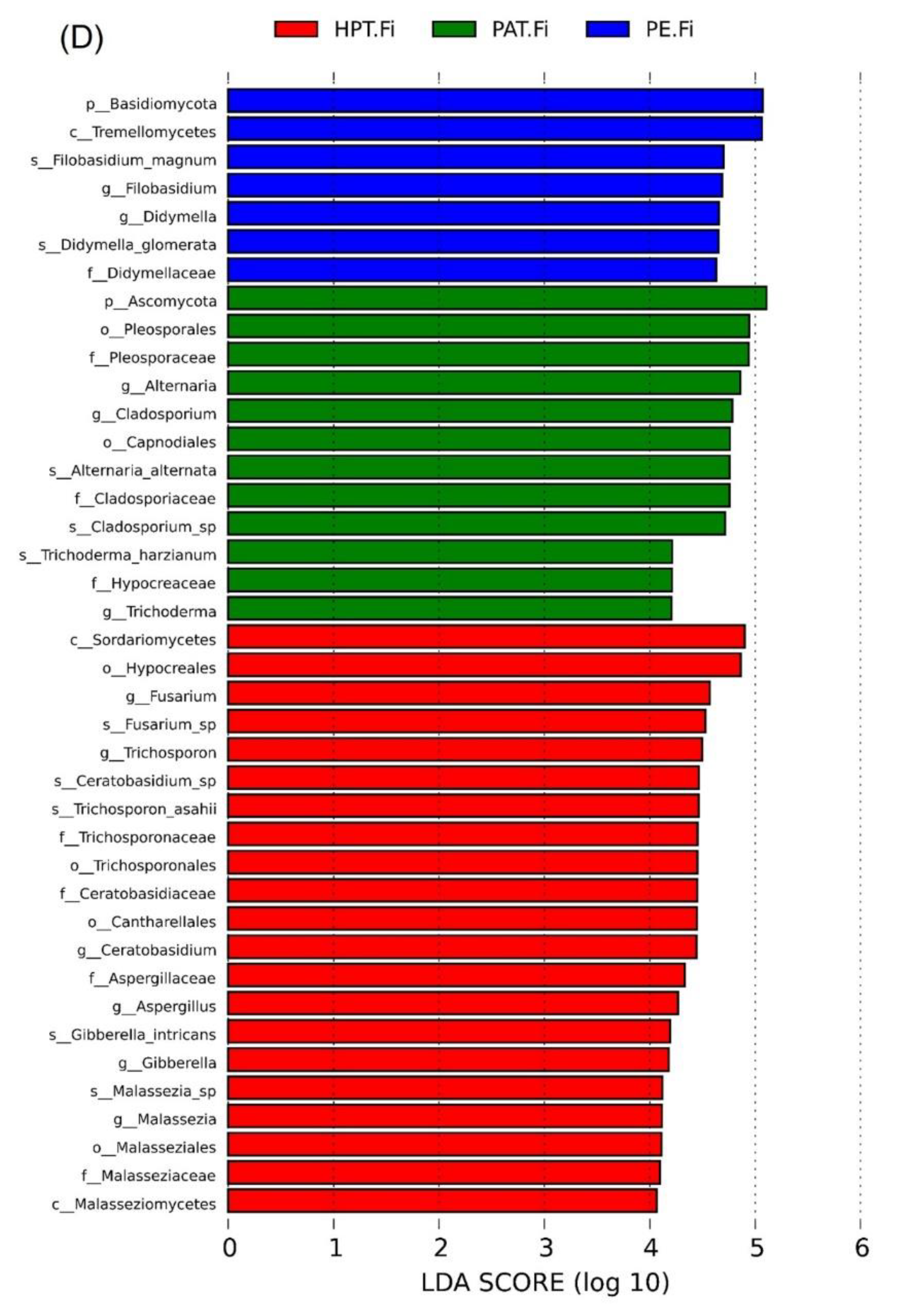 Foods 12 03370 g006c