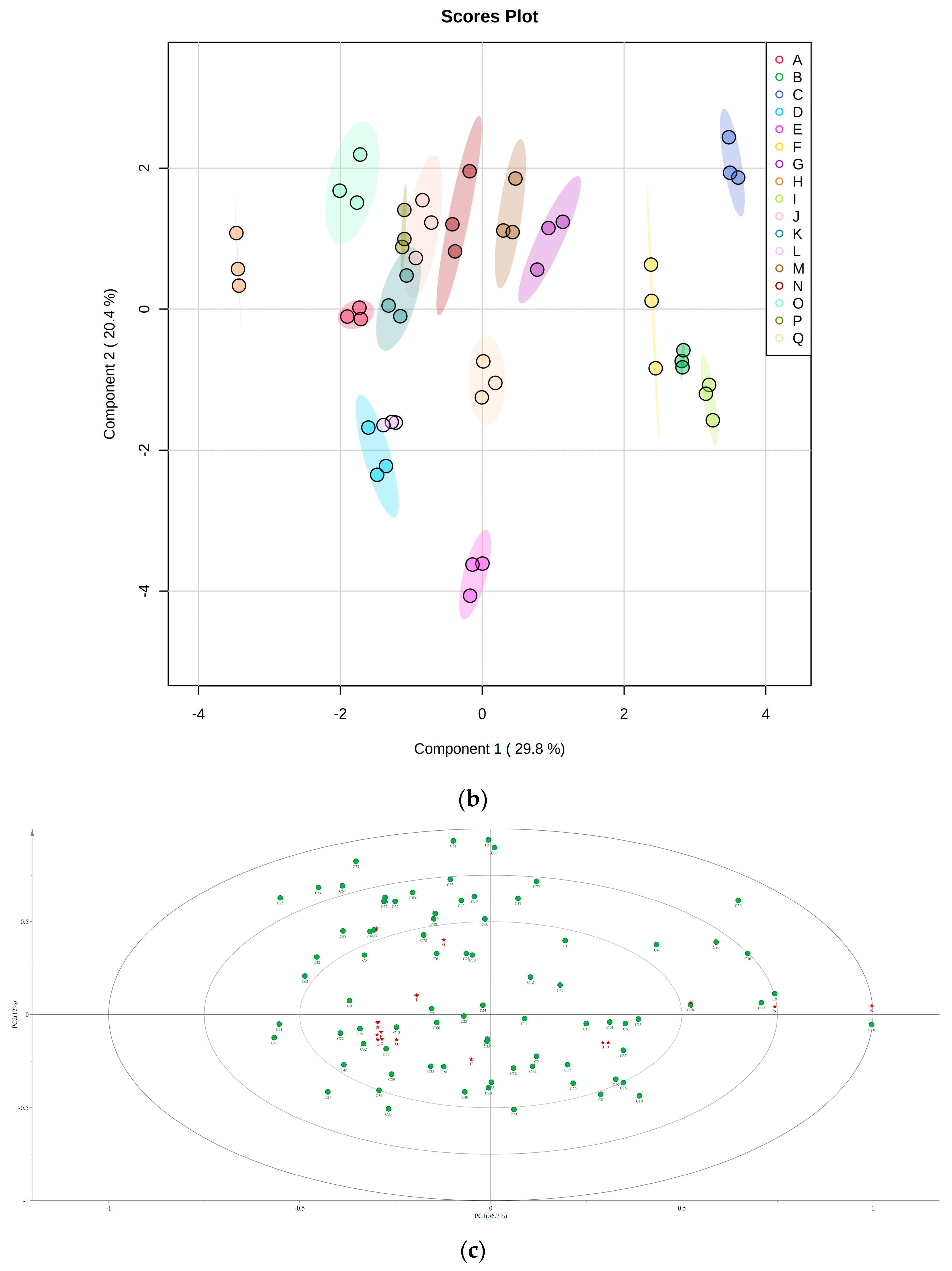 Foods 12 03371 g003b
