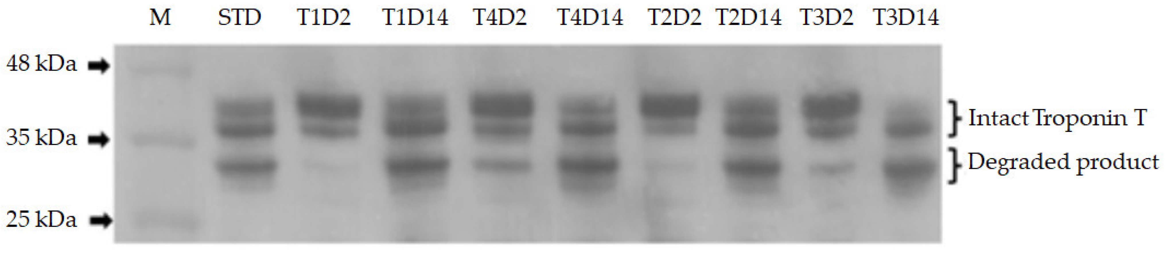 Foods 12 03402 g001 Foods 12 03402 g001