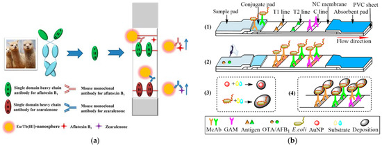 Nanoscale Materials Applying for the Detection of Mycotoxins