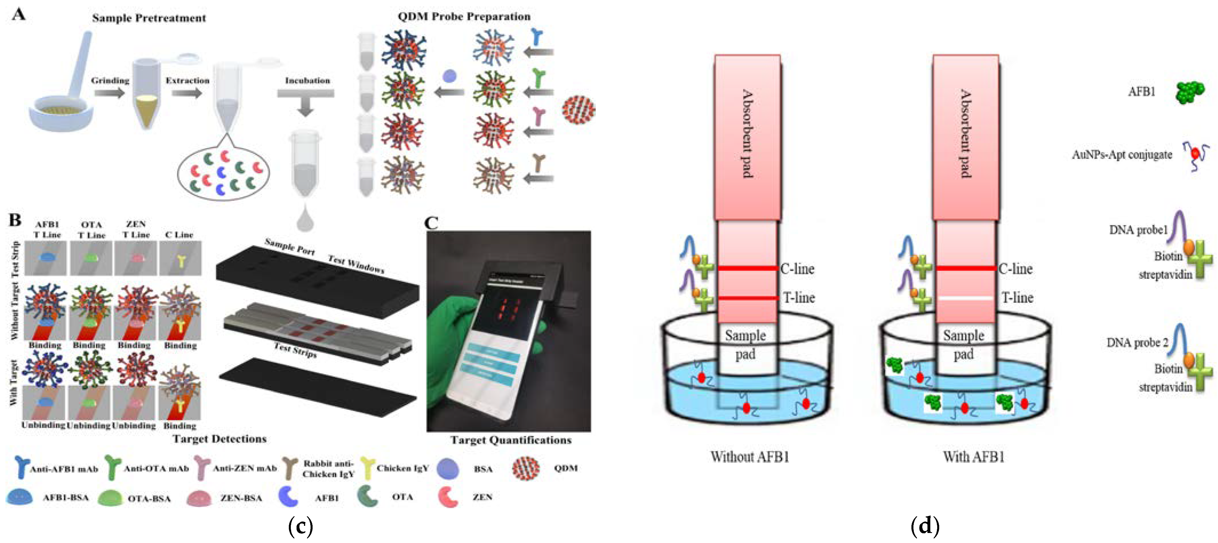 Foods 12 03448 g003b