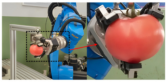 Research Progress on Low Damage Grasping of Fruit, Vegetable