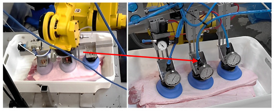 グアン Nike Air Jordan XXXV 35 x Guo Ailun Morpho CZ8153 100 | eBay