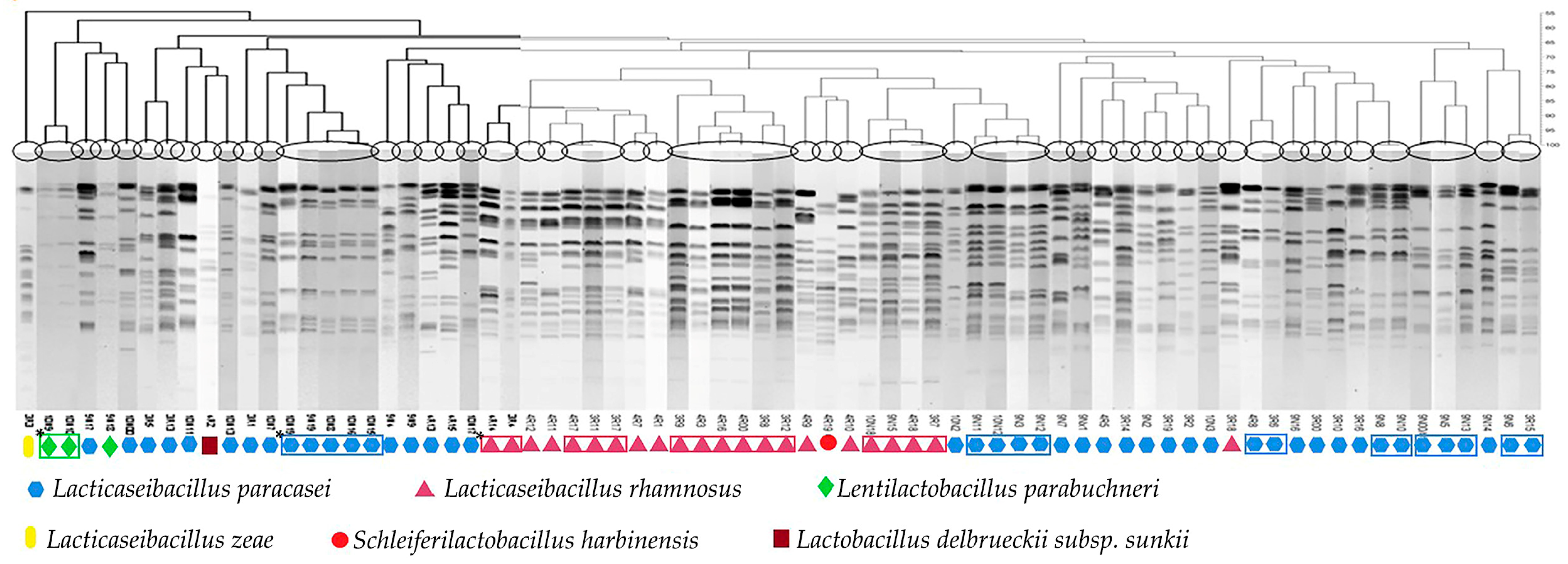 Foods 12 03482 g005 Foods 12 03482 g005